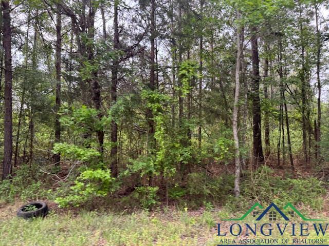 287 Cr 1123, Linden, Texas image 7