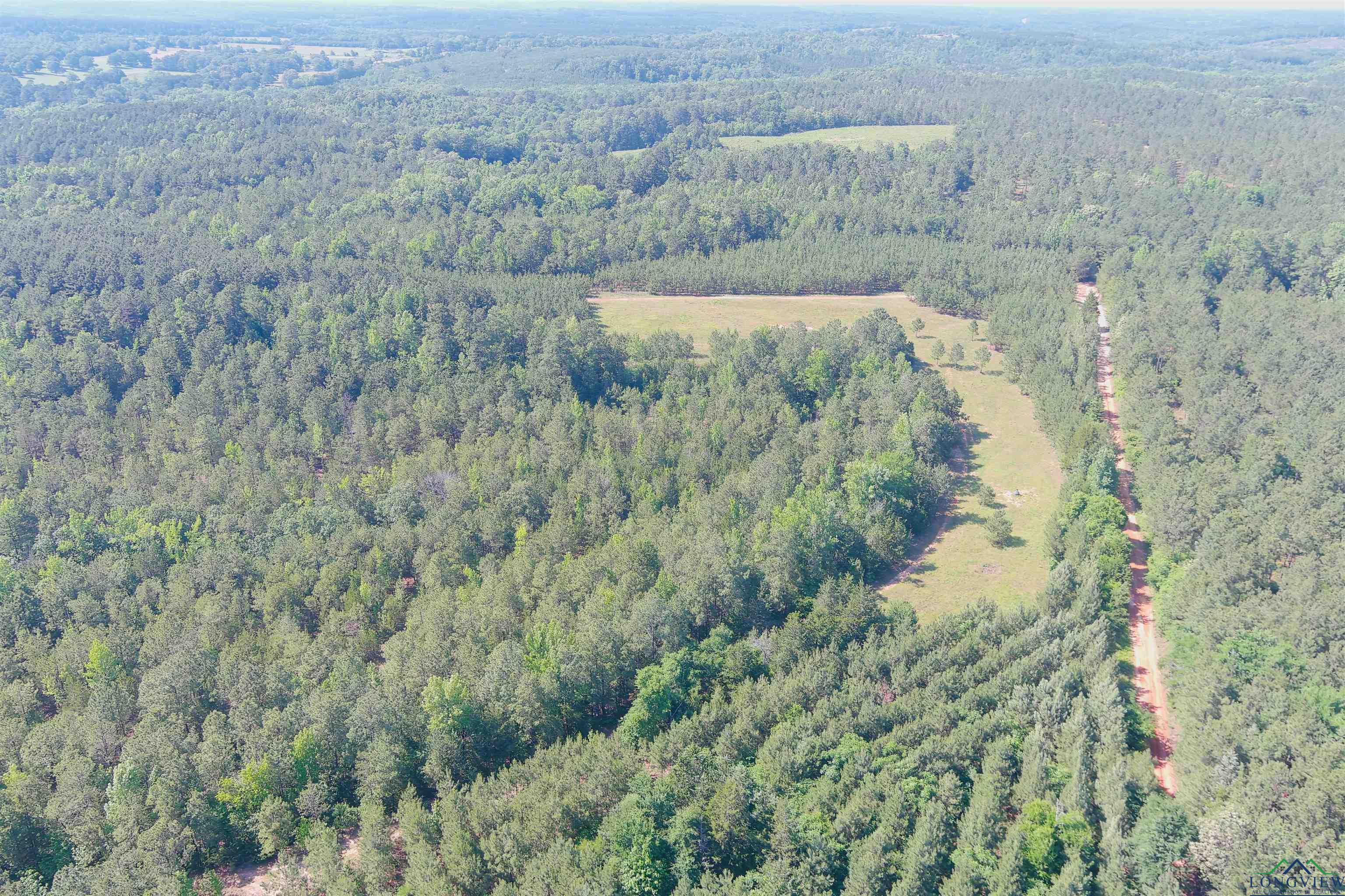 287 Cr 1123, Linden, Texas image 32