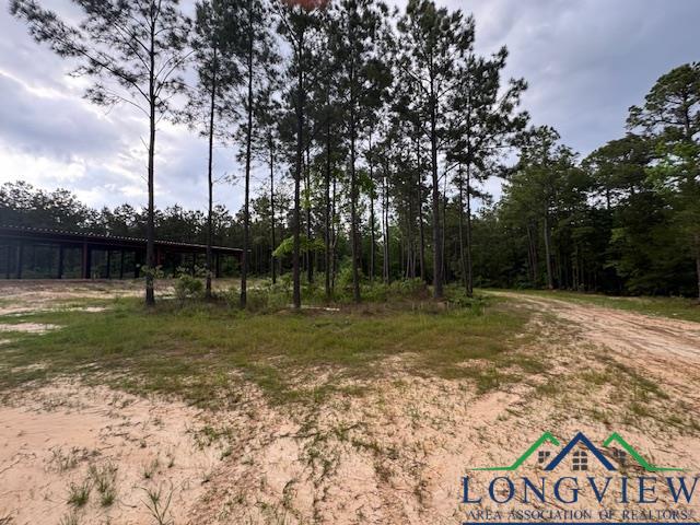 287 Cr 1123, Linden, Texas image 2