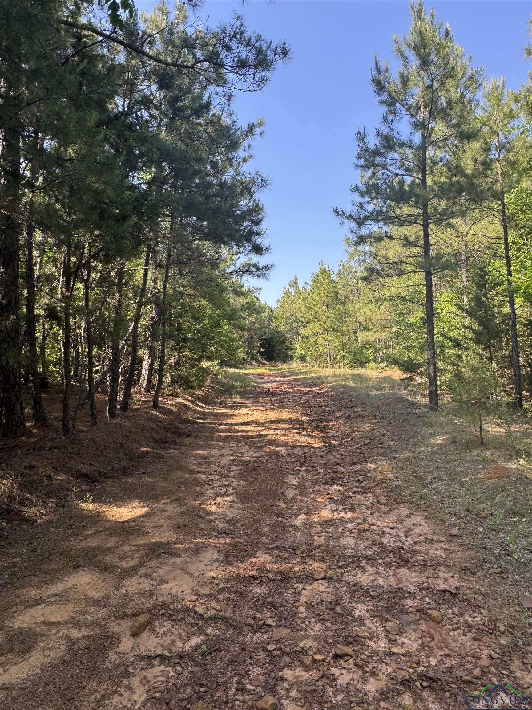 287 Cr 1123, Linden, Texas image 14