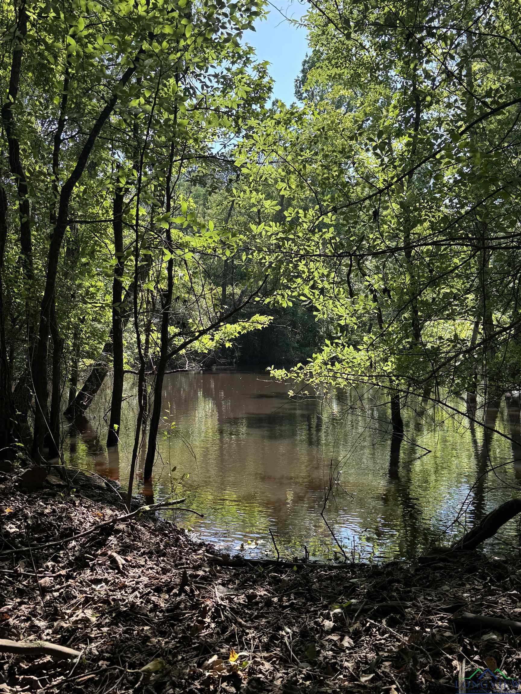 287 Cr 1123, Linden, Texas image 18