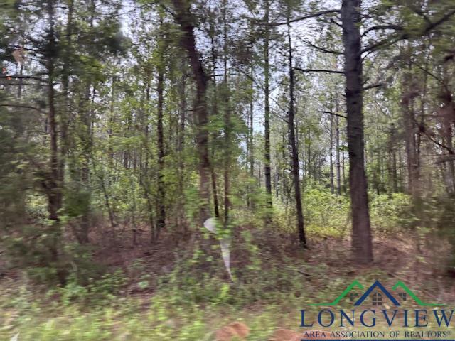 287 Cr 1123, Linden, Texas image 8