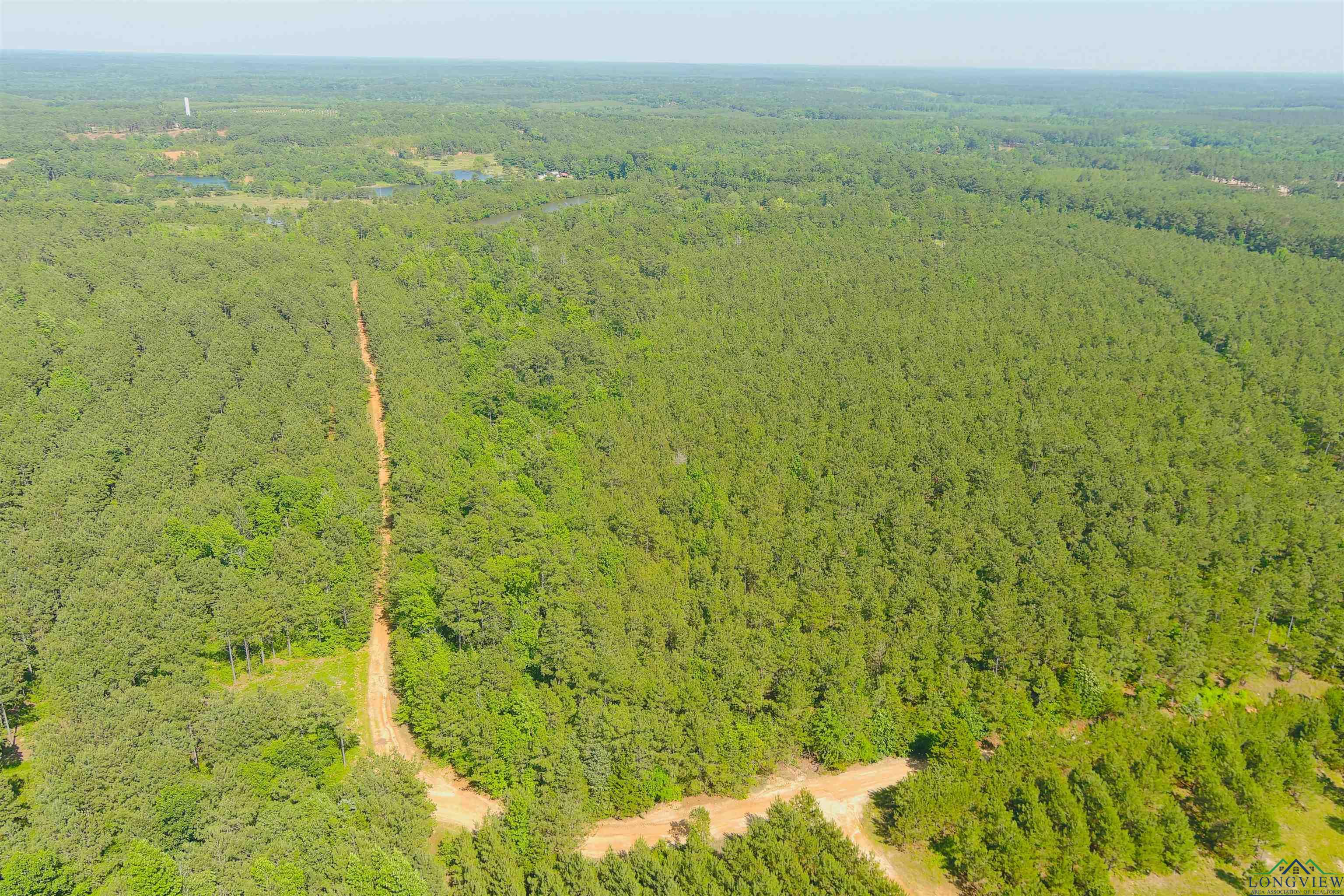 287 Cr 1123, Linden, Texas image 24