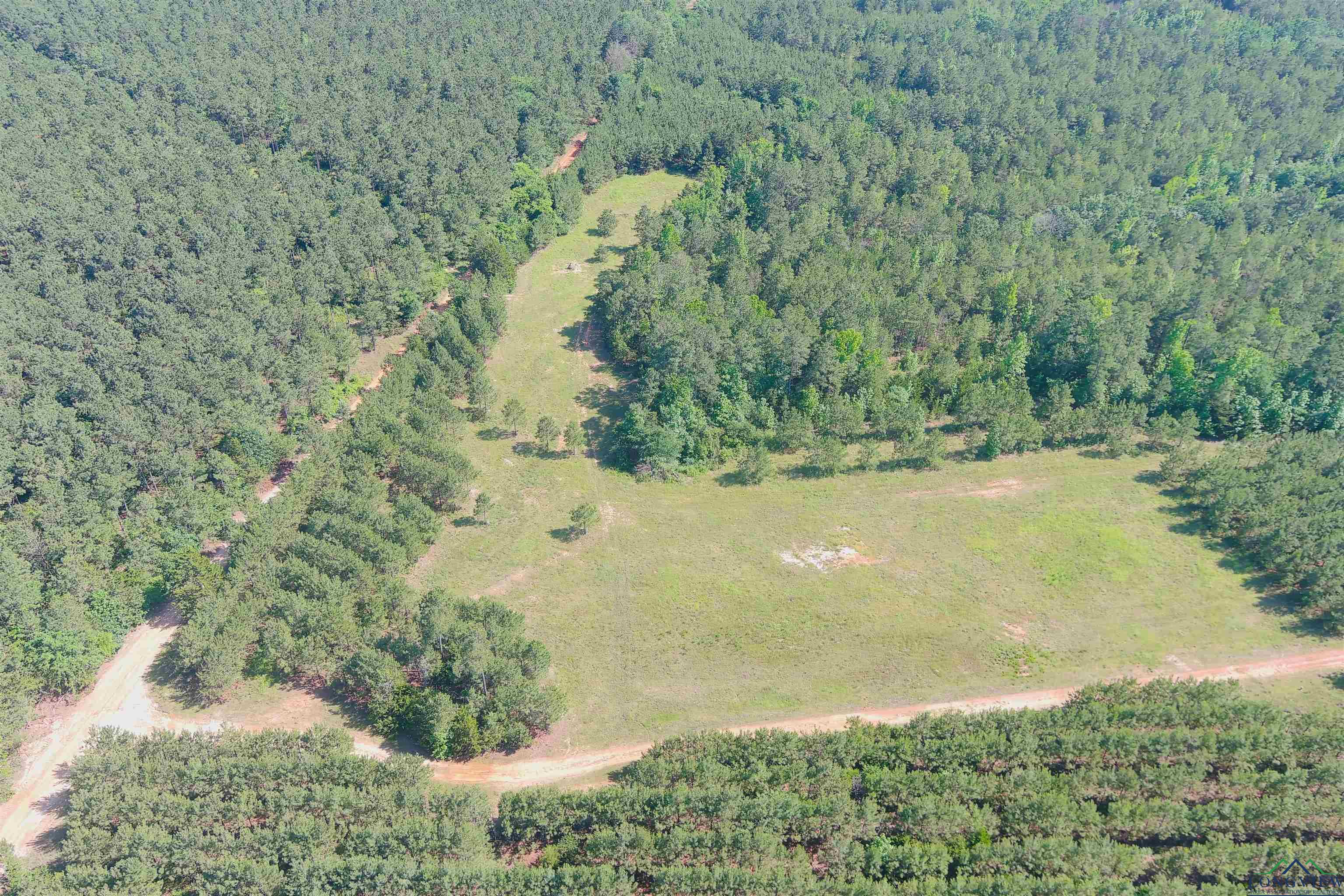 287 Cr 1123, Linden, Texas image 33