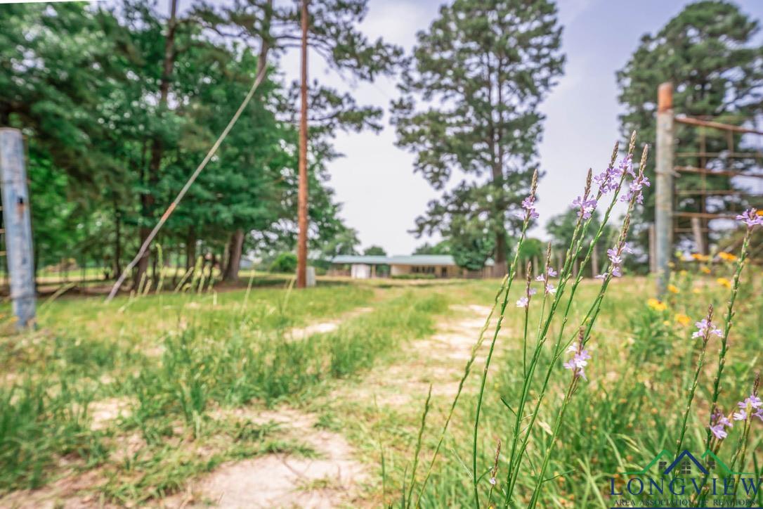 23539 E Hwy 31, Kilgore, Texas image 34