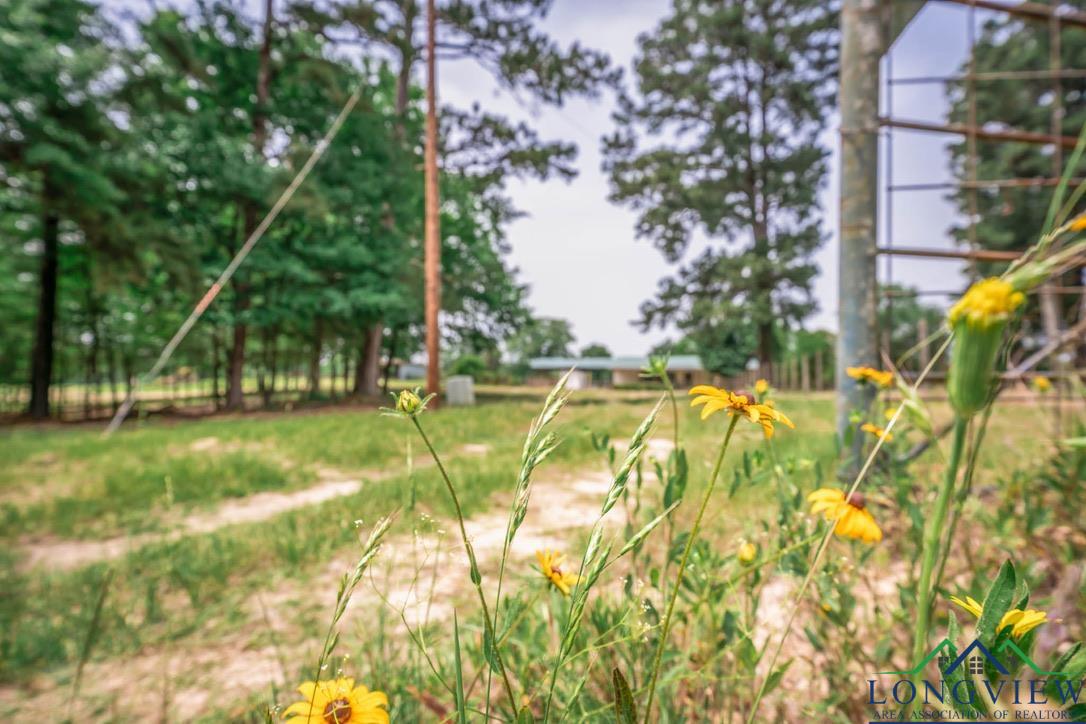 23539 E Hwy 31, Kilgore, Texas image 36