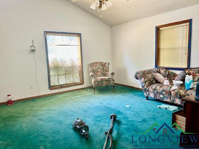 106 Stephanie St, Longview, Texas image 18