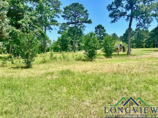 106 Stephanie St, Longview, Texas image 7
