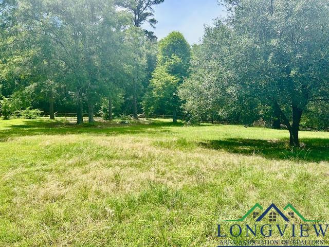 106 Stephanie St, Longview, Texas image 8