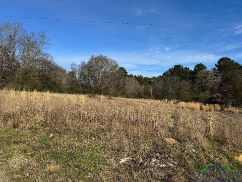 Vacant Land For Sale - 1600 Fm 1252 W<br/> Gladewater, TX 75647