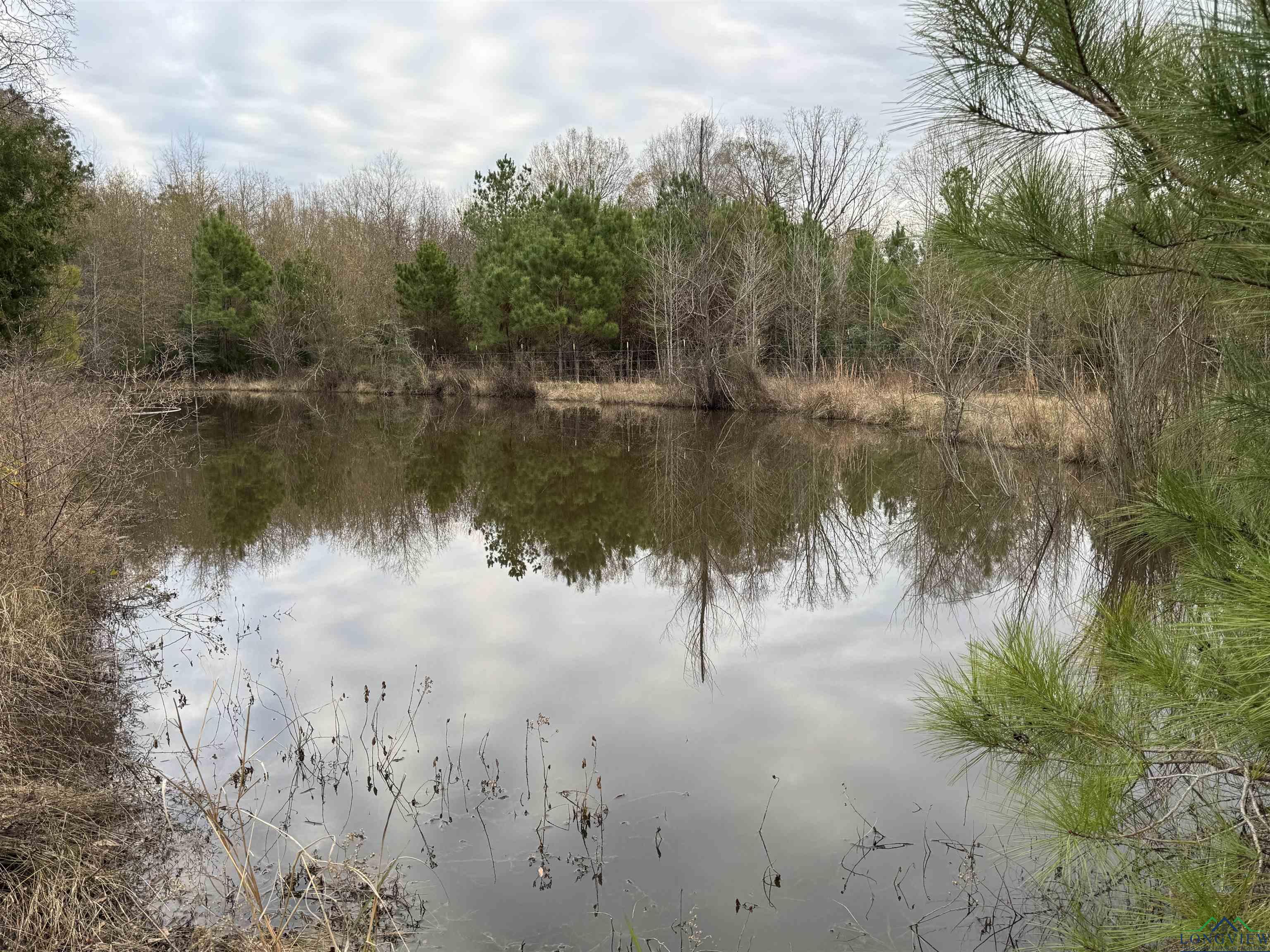 TBD County Rd 455 Avenue, Carthage, Texas image 3