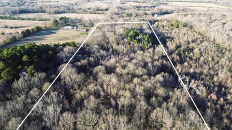 Vacant Land For Sale - 1628 Cr 3375<br/> Cookville, TX 75558