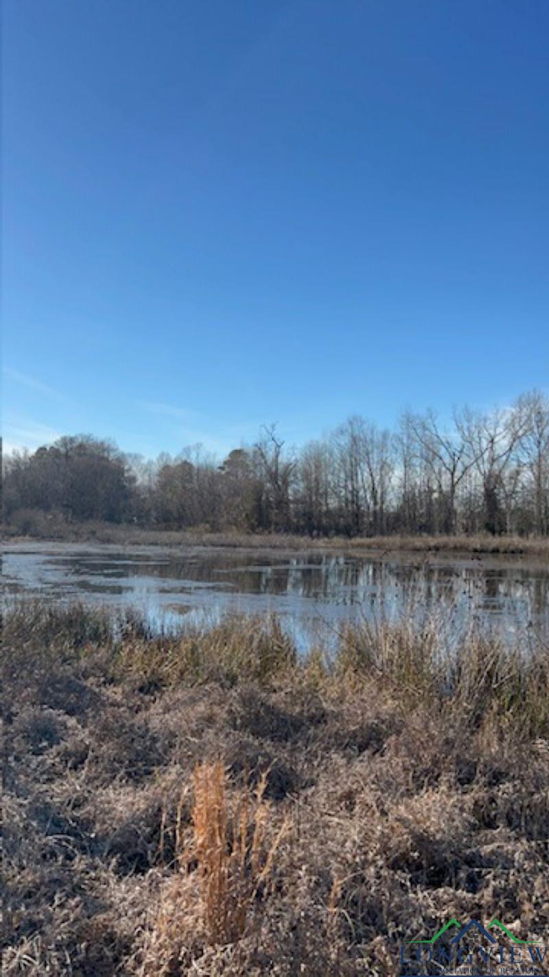 1198 Juniper Rd, Big Sandy, Texas image 9