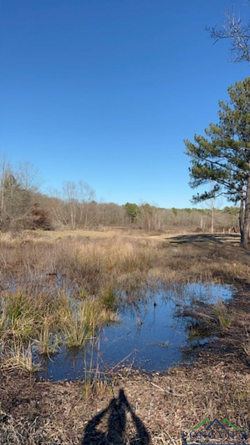 1198 Juniper Rd, Big Sandy, Texas image 11