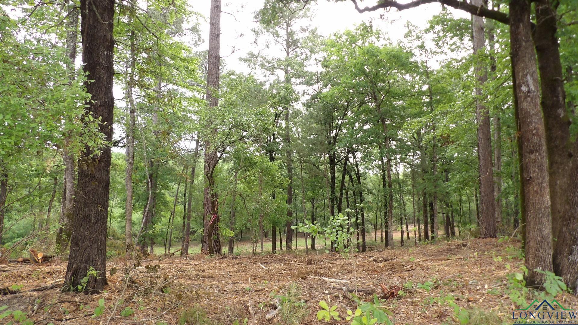 LOT 1 Cooper Lake Rd, Jefferson, Texas image 3