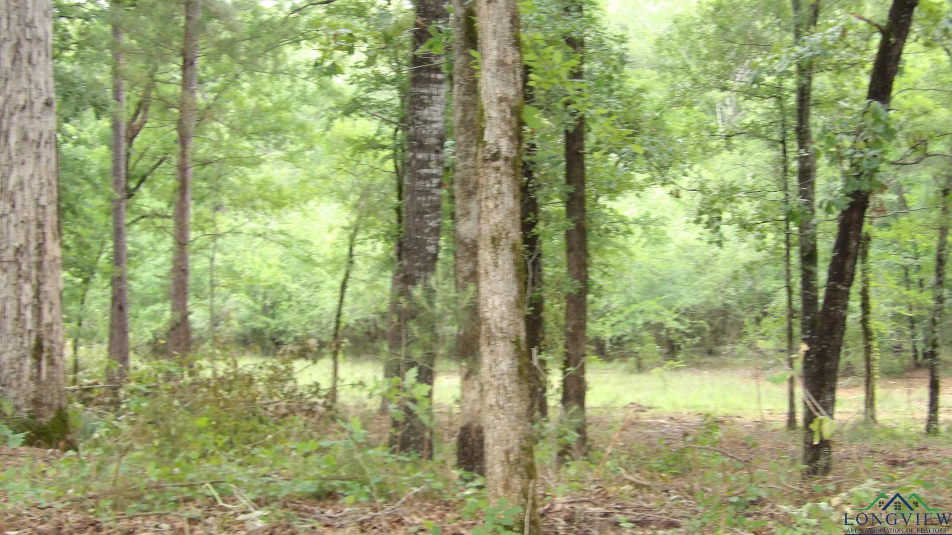 LOT 1 Cooper Lake Rd, Jefferson, Texas image 5