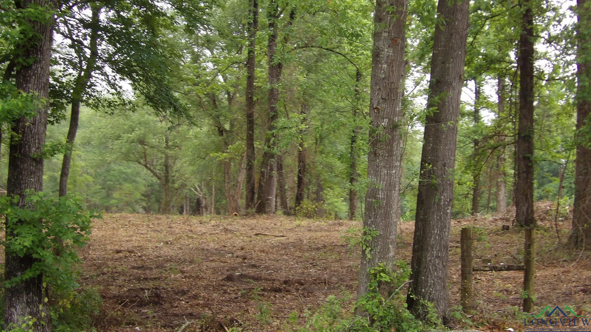 LOT 1 Cooper Lake Rd, Jefferson, Texas image 12