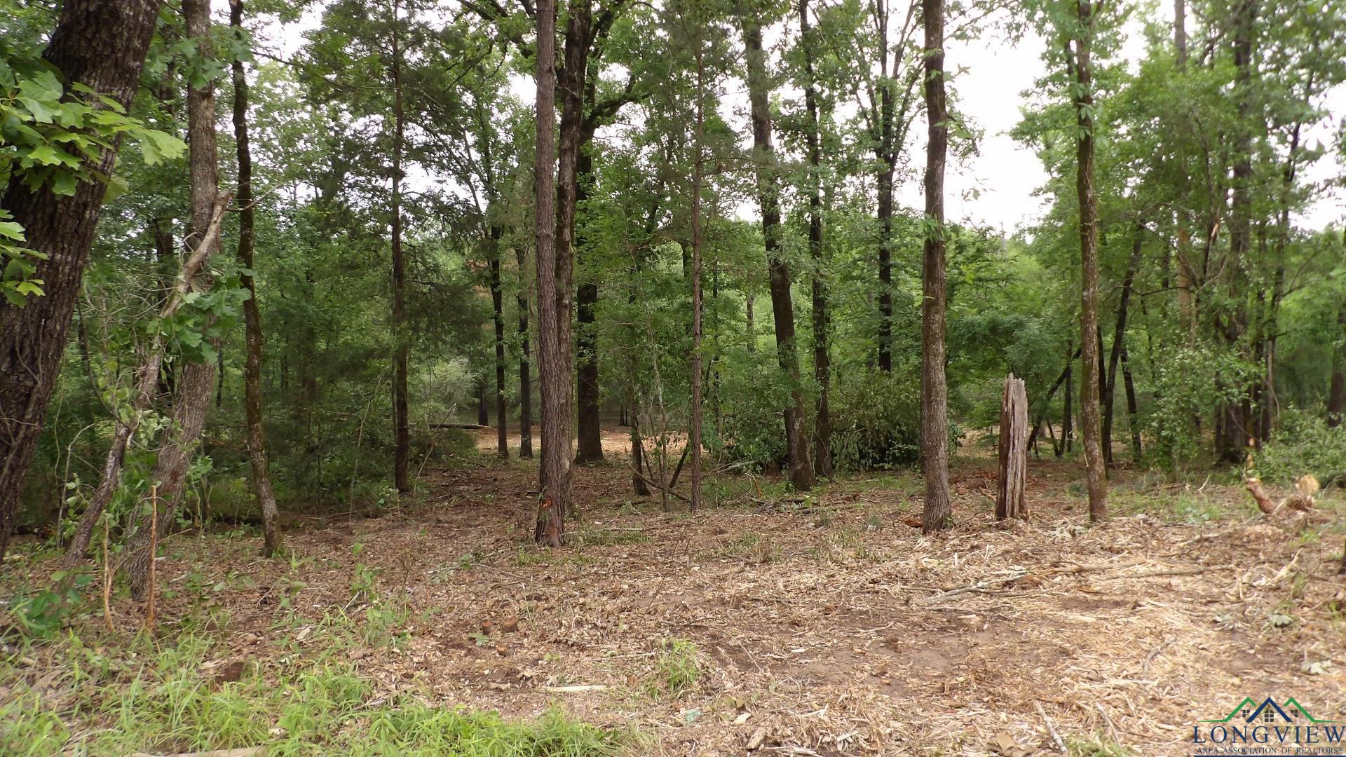 LOT 1 Cooper Lake Rd, Jefferson, Texas image 7