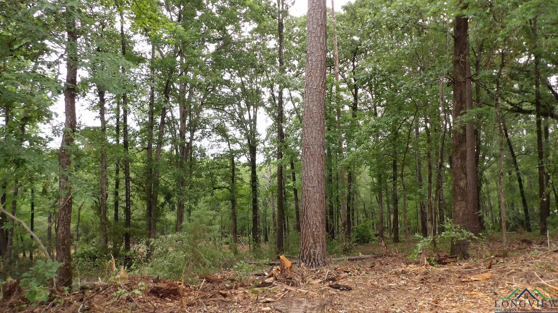 LOT 1 Cooper Lake Rd, Jefferson, Texas image 8