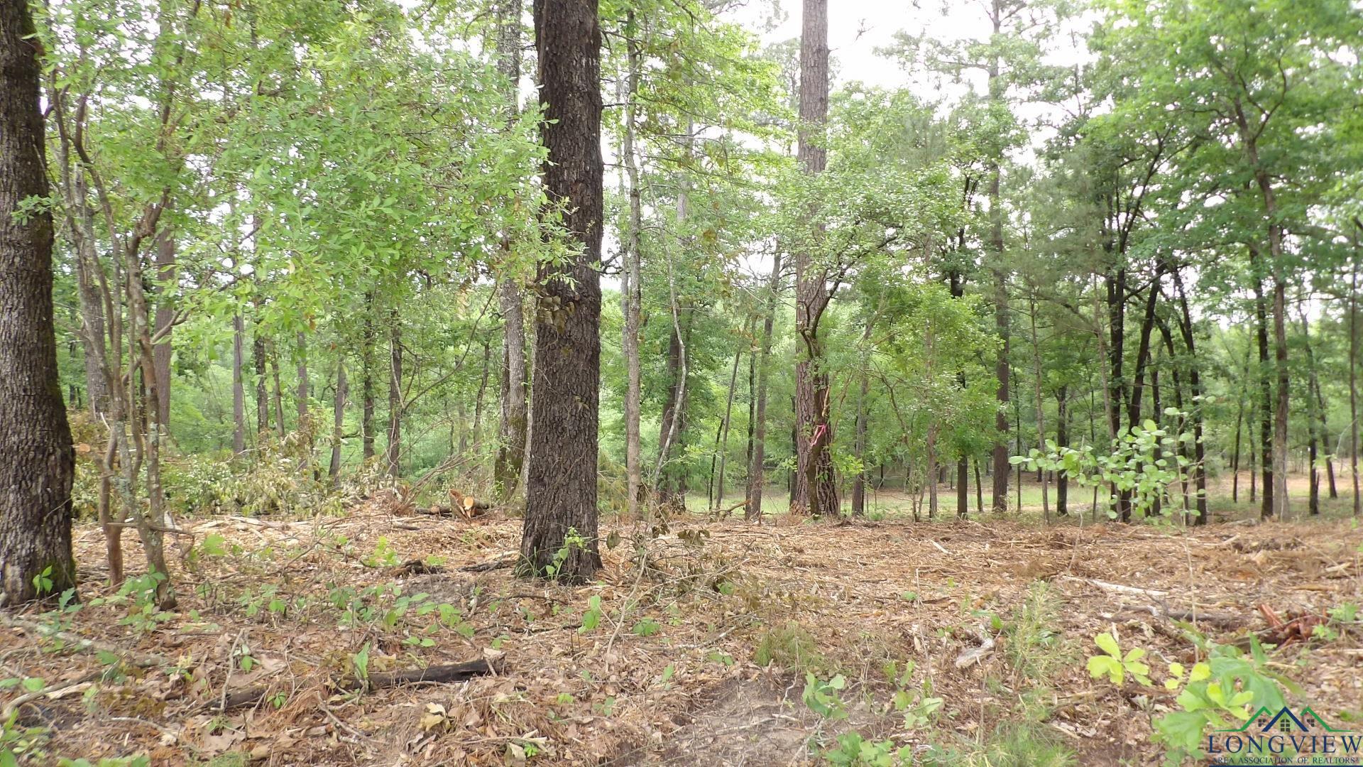LOT 1 Cooper Lake Rd, Jefferson, Texas image 2