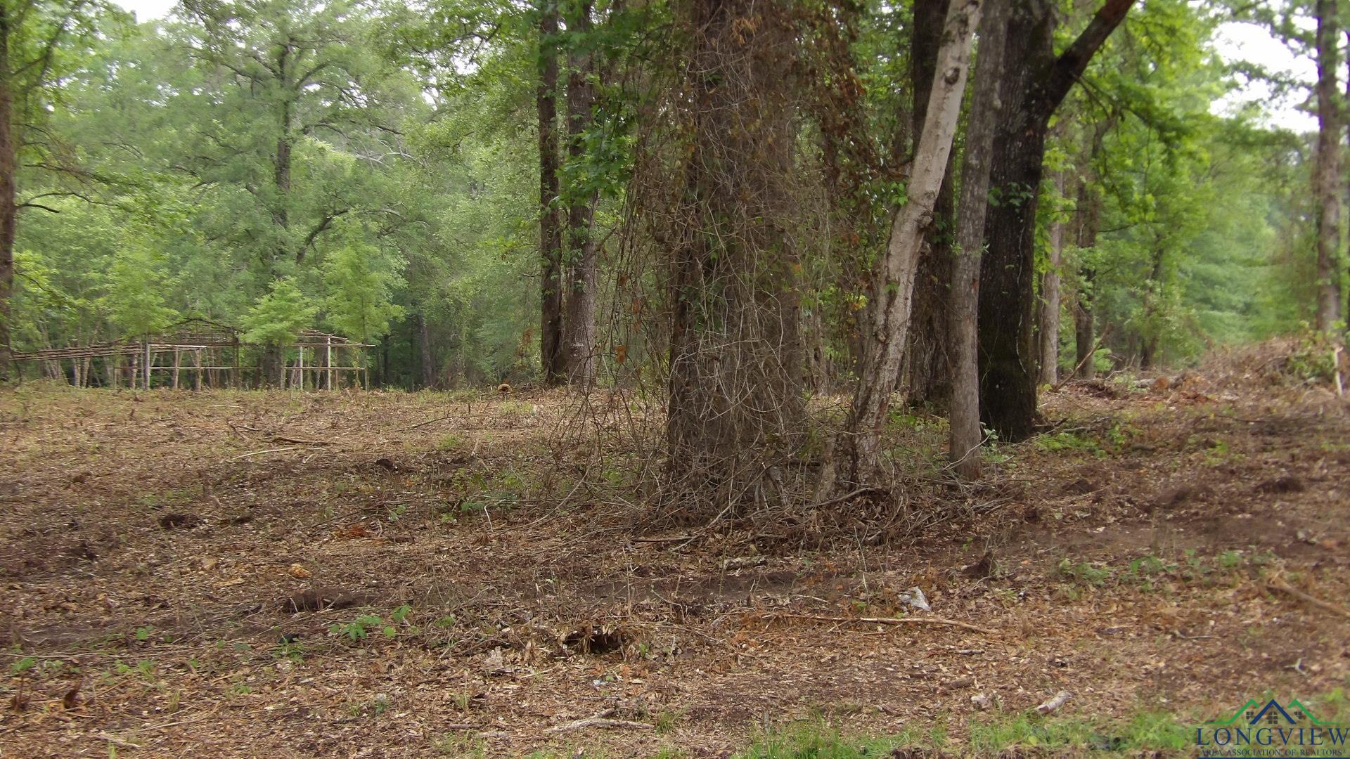 LOT 1 Cooper Lake Rd, Jefferson, Texas image 1