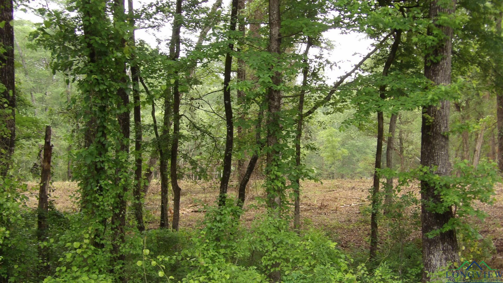 LOT 1 Cooper Lake Rd, Jefferson, Texas image 11