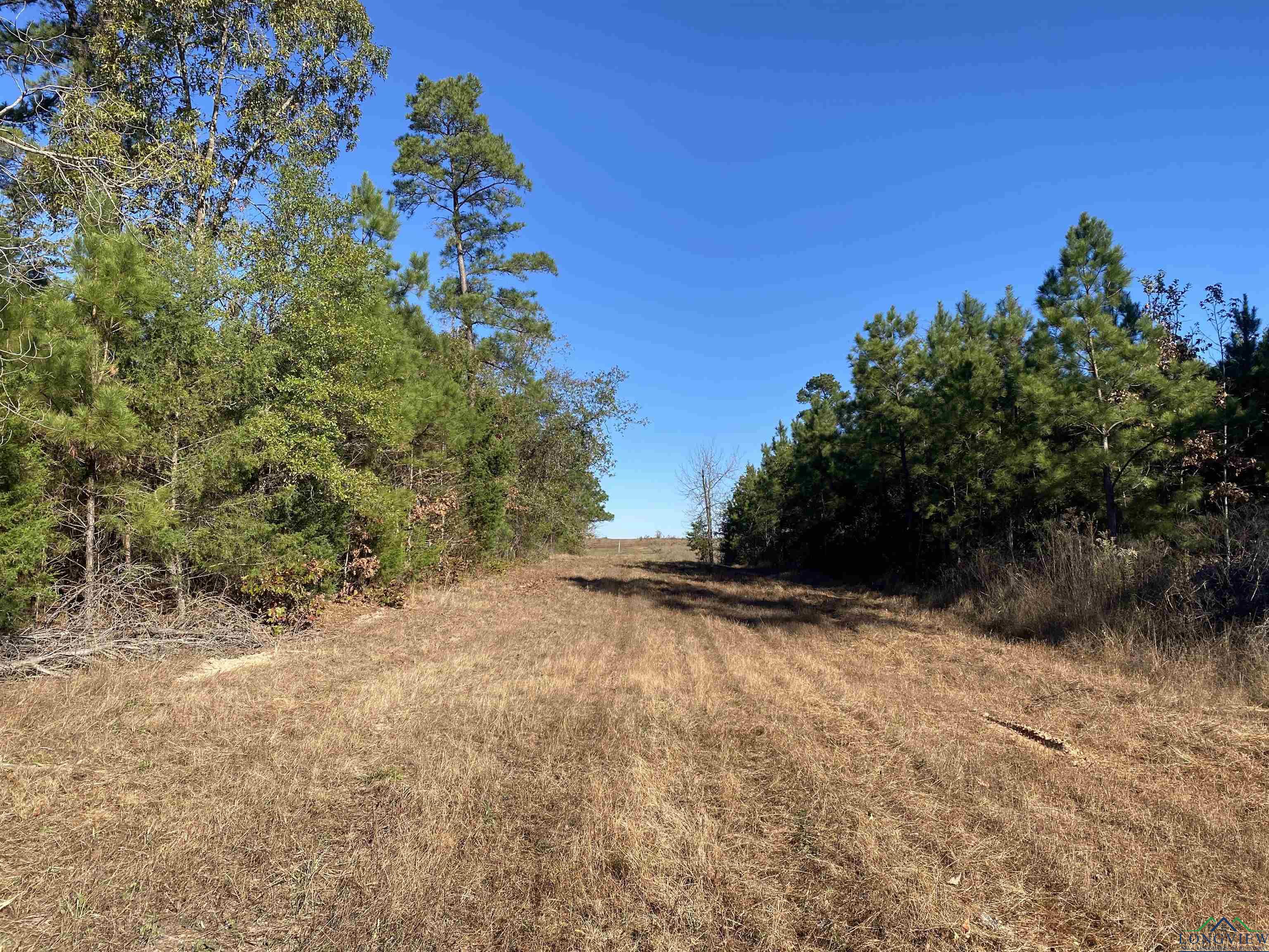 491 Cr 1769, Linden, Texas image 38