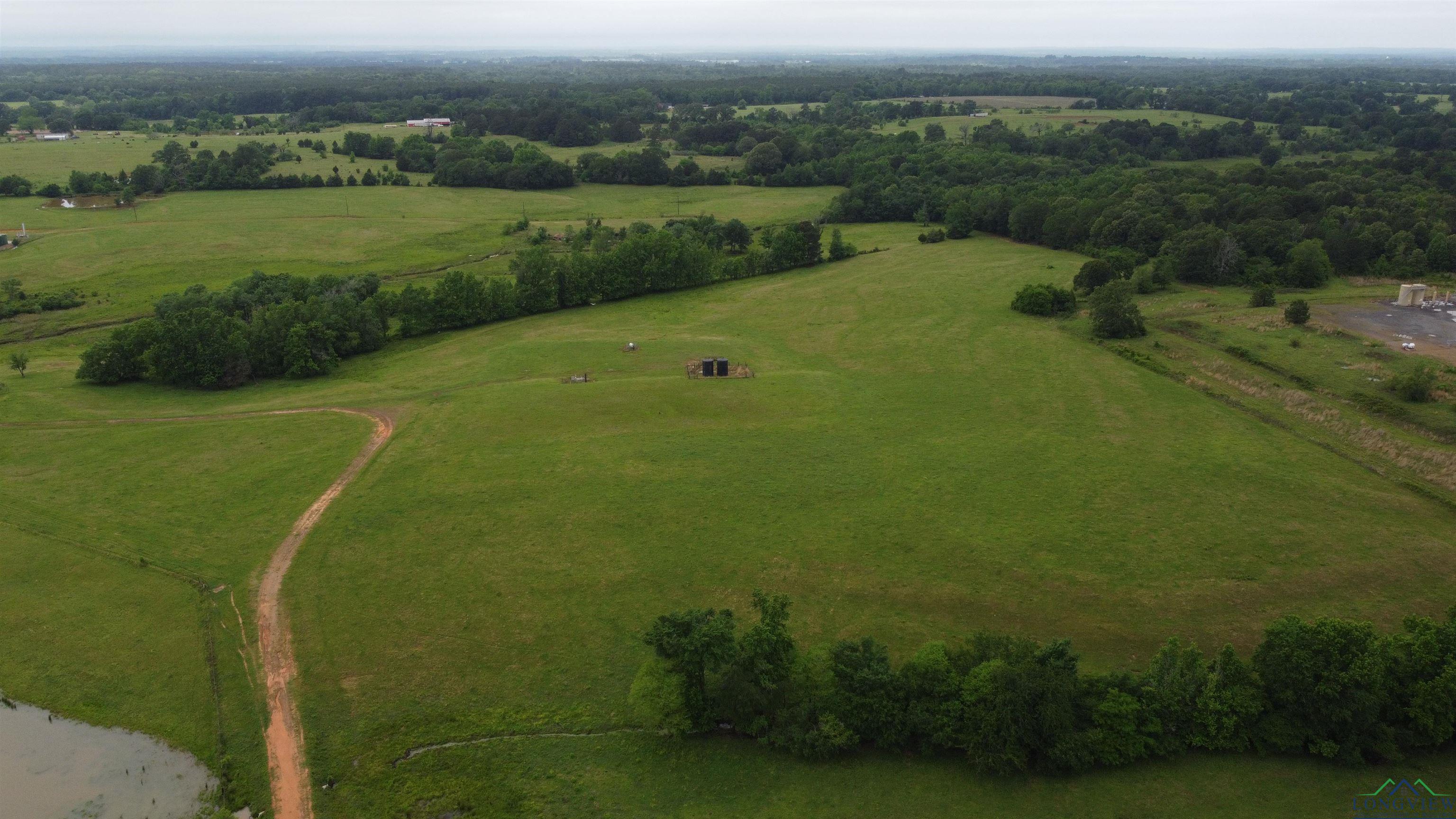 9710 Cr 471, Henderson, Texas image 2