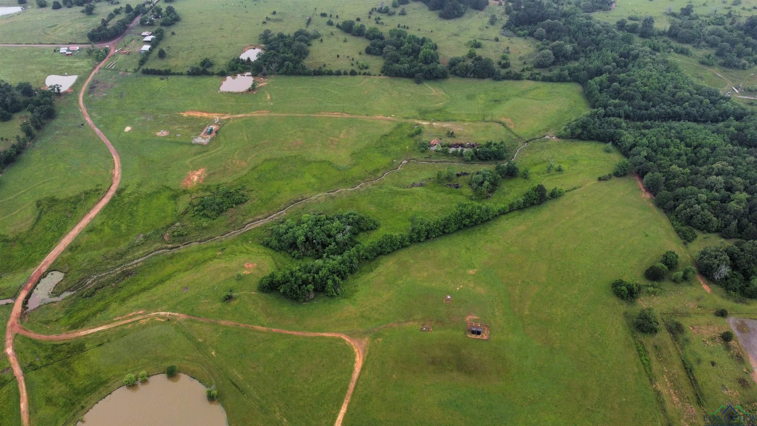 9710 Cr 471, Henderson, Texas image 3