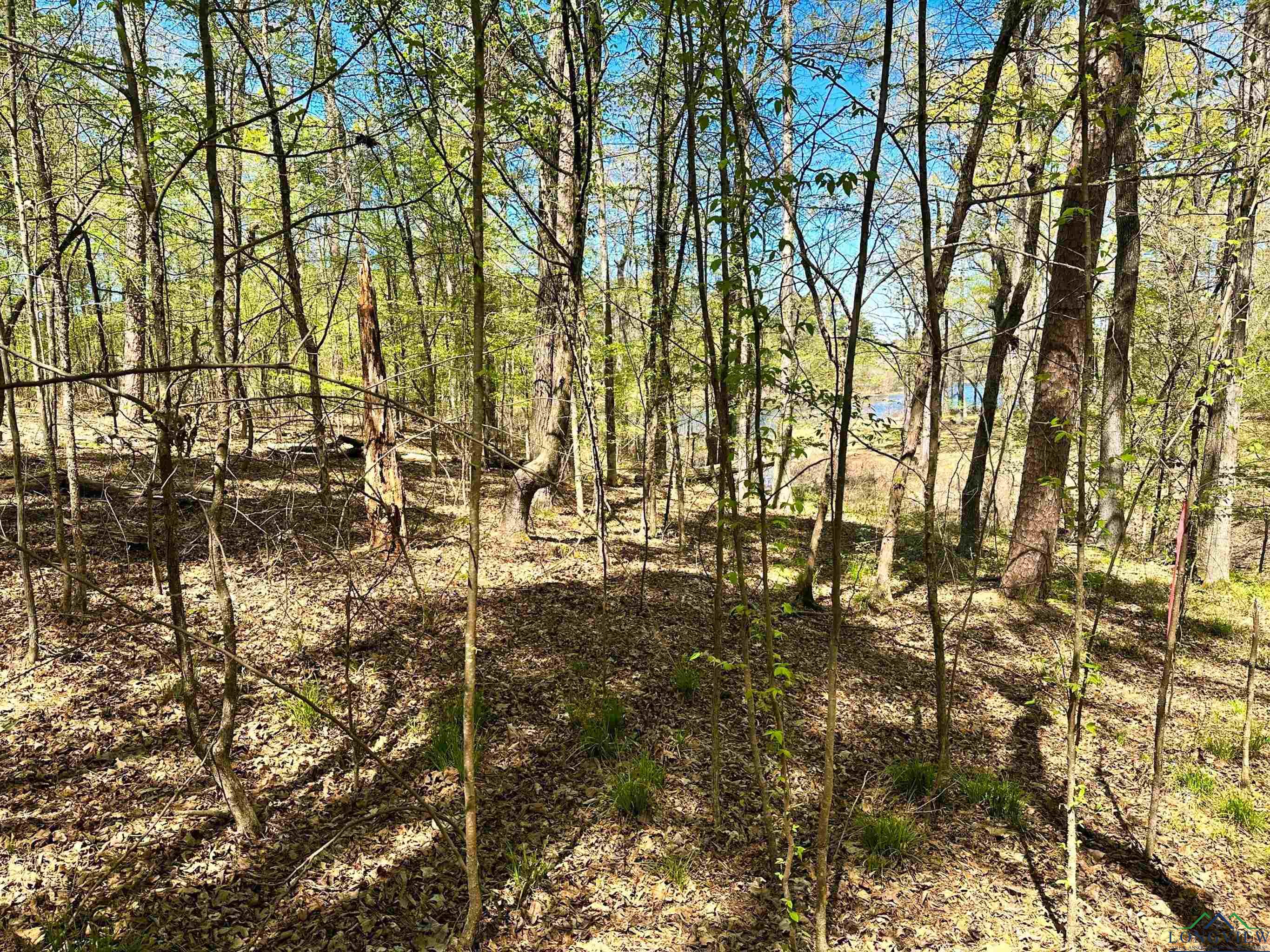 TBD Private Road 8706, Jefferson, Texas image 4