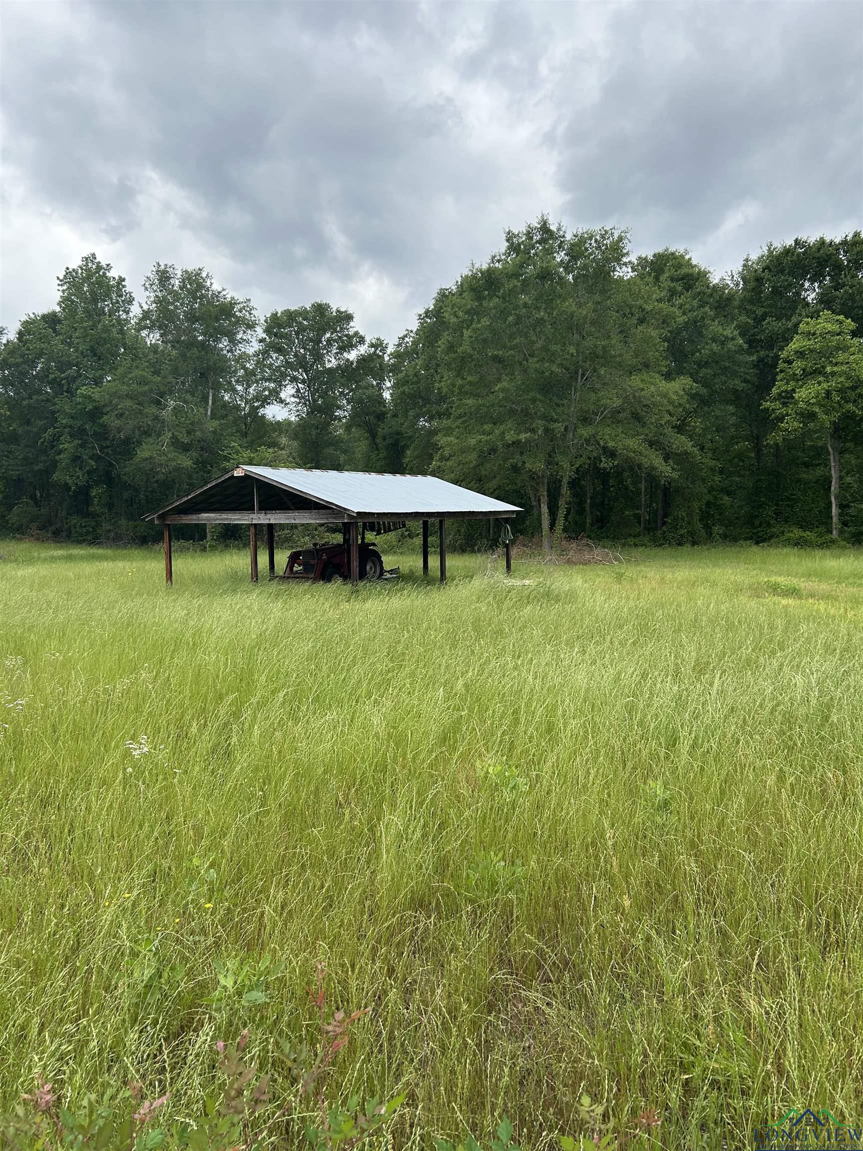9649 N Us 259, Gilmer, Texas image 3
