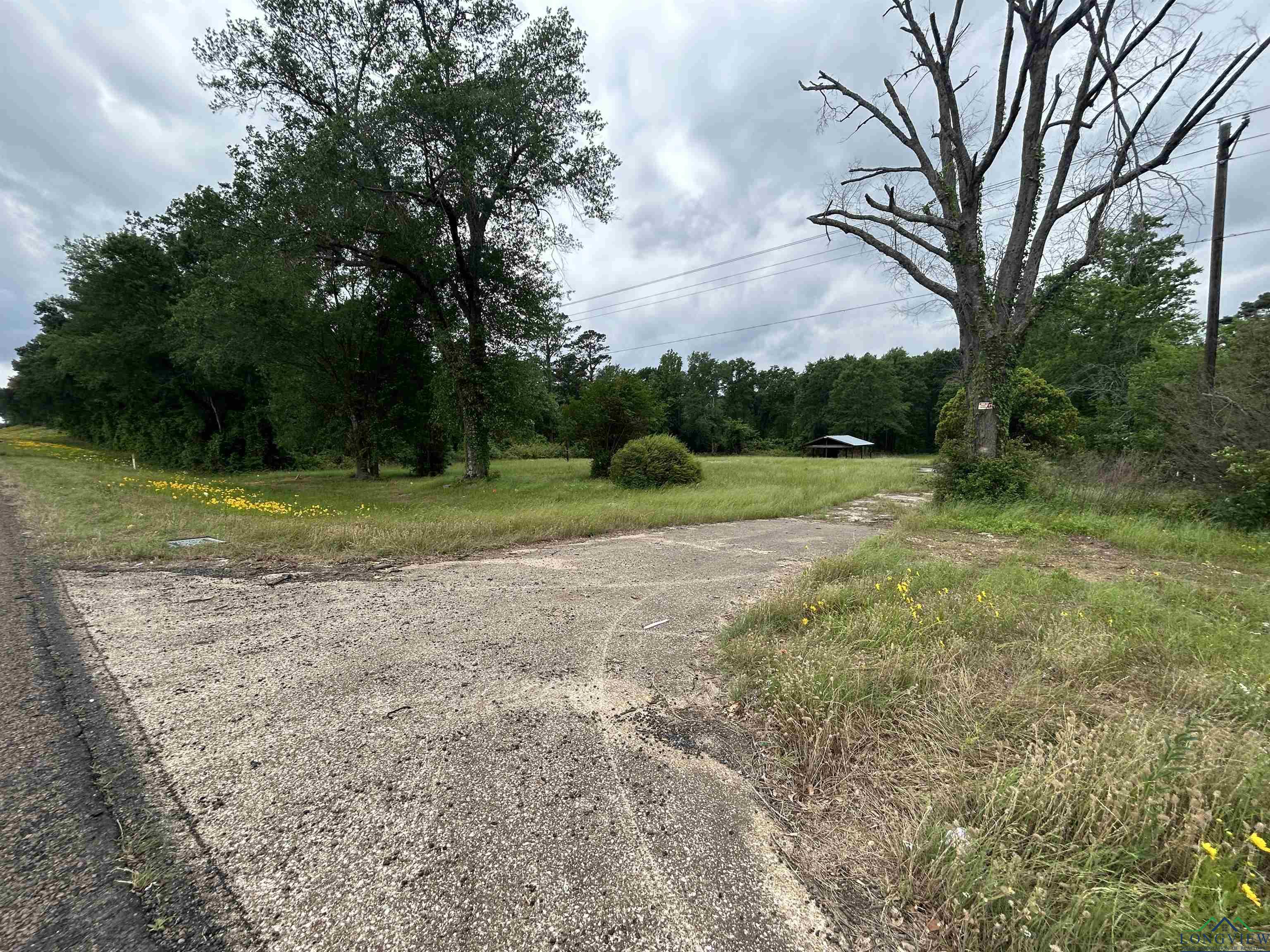 9649 N Us 259, Gilmer, Texas image 10