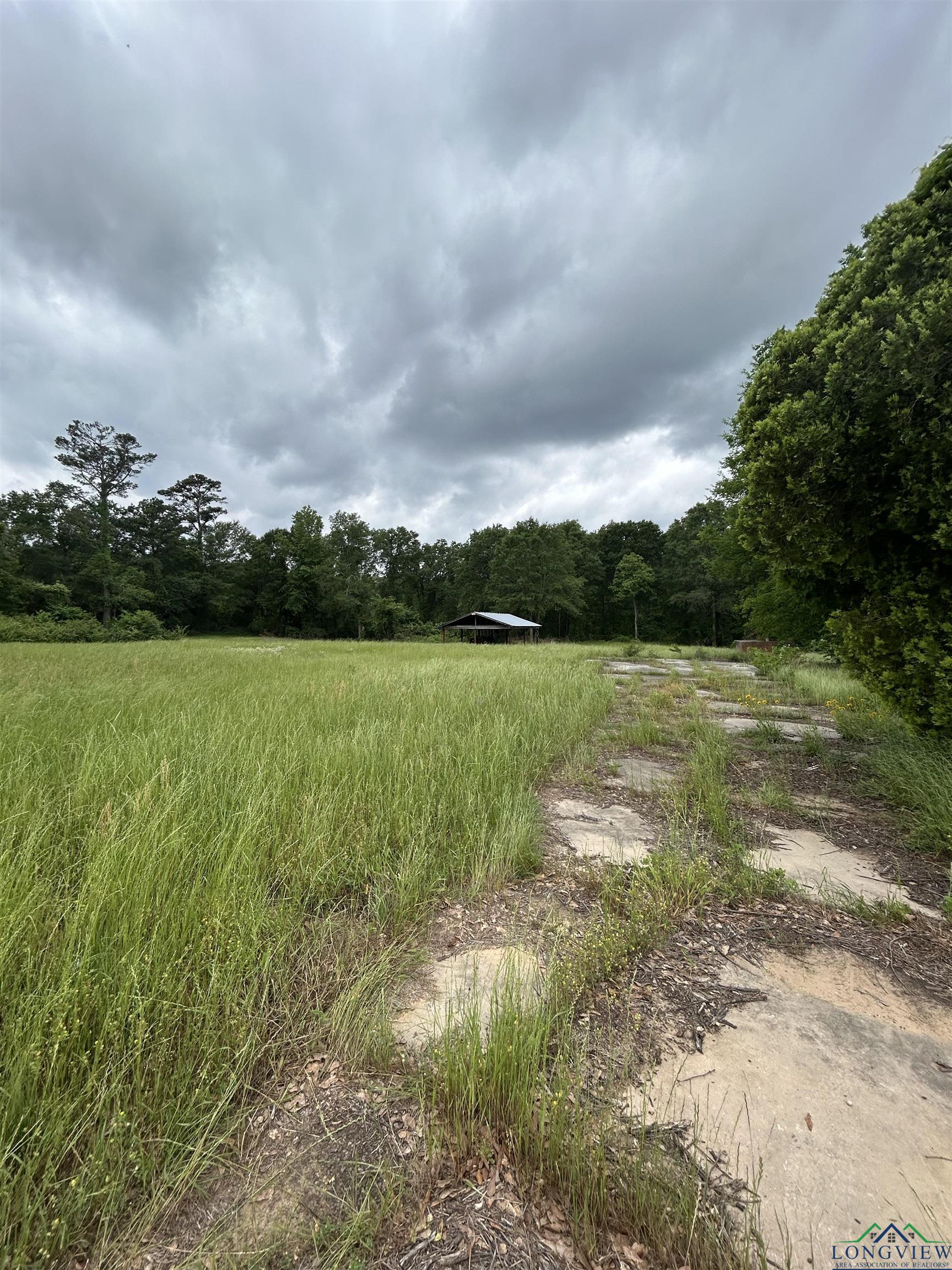 9649 N Us 259, Gilmer, Texas image 4