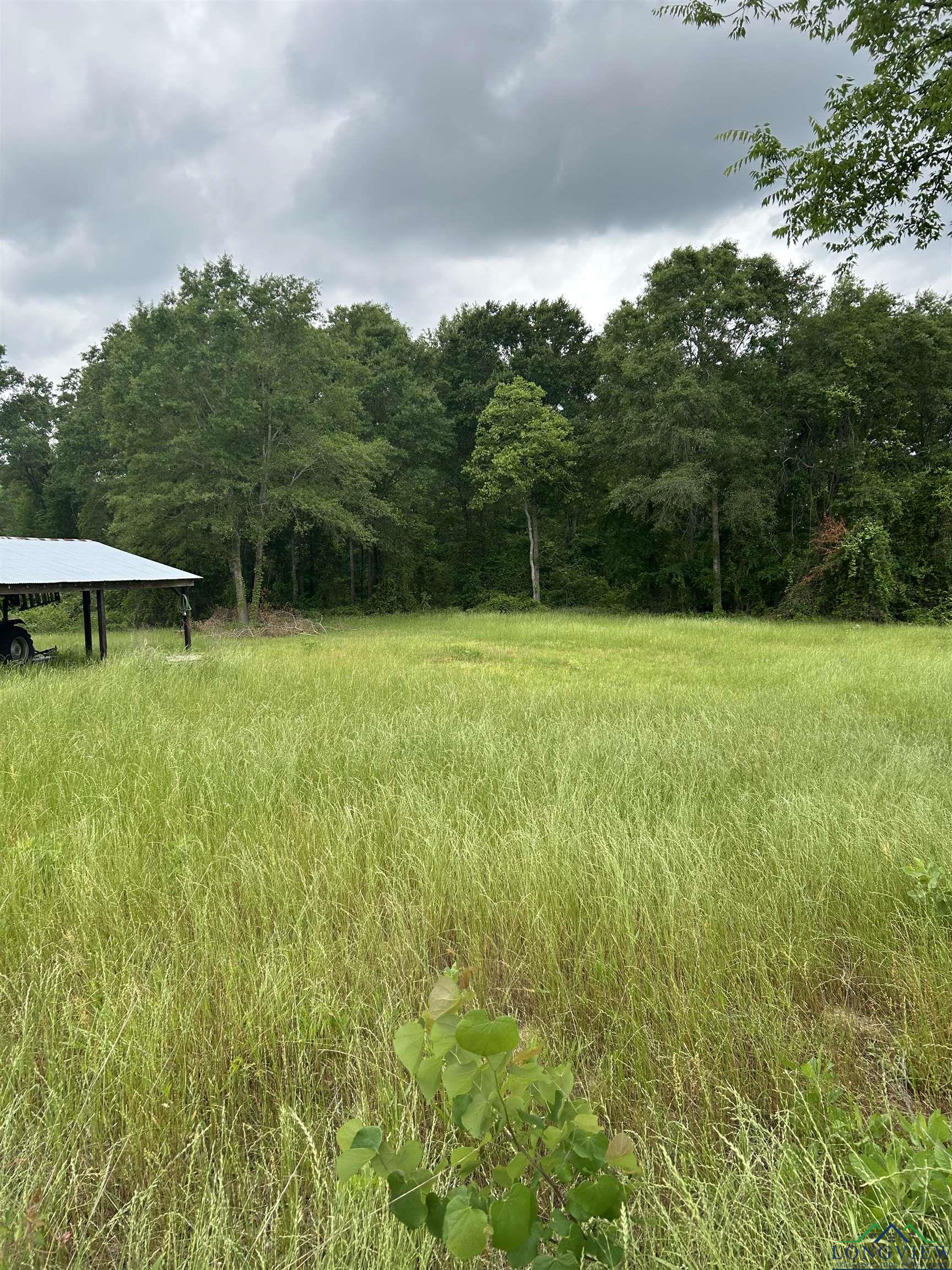 9649 N Us 259, Gilmer, Texas image 11
