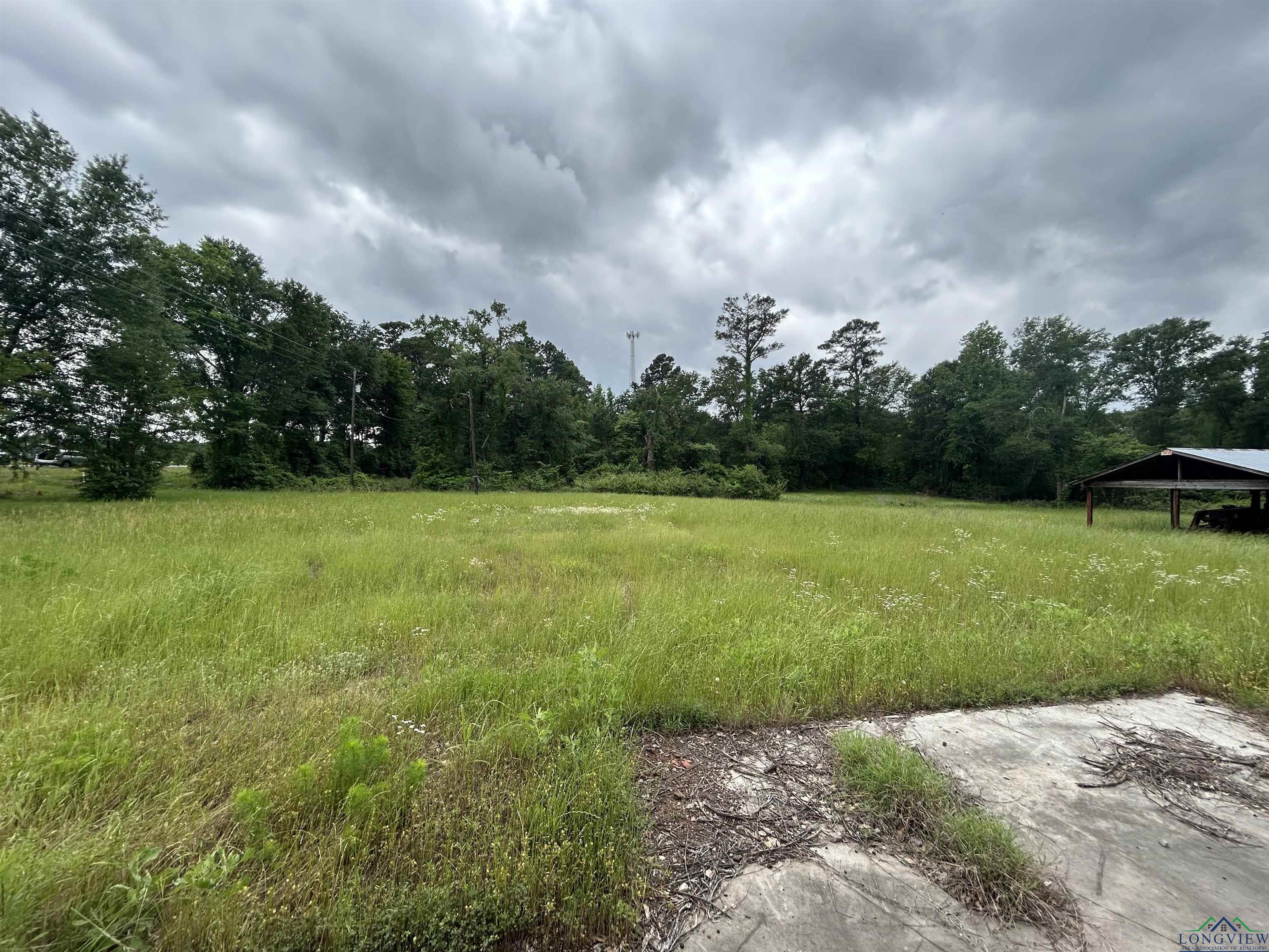 9649 N Us 259, Gilmer, Texas image 7