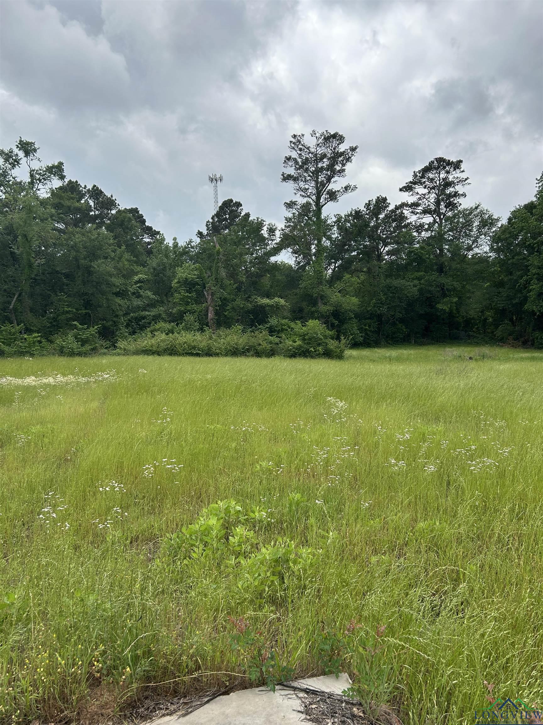 9649 N Us 259, Gilmer, Texas image 12