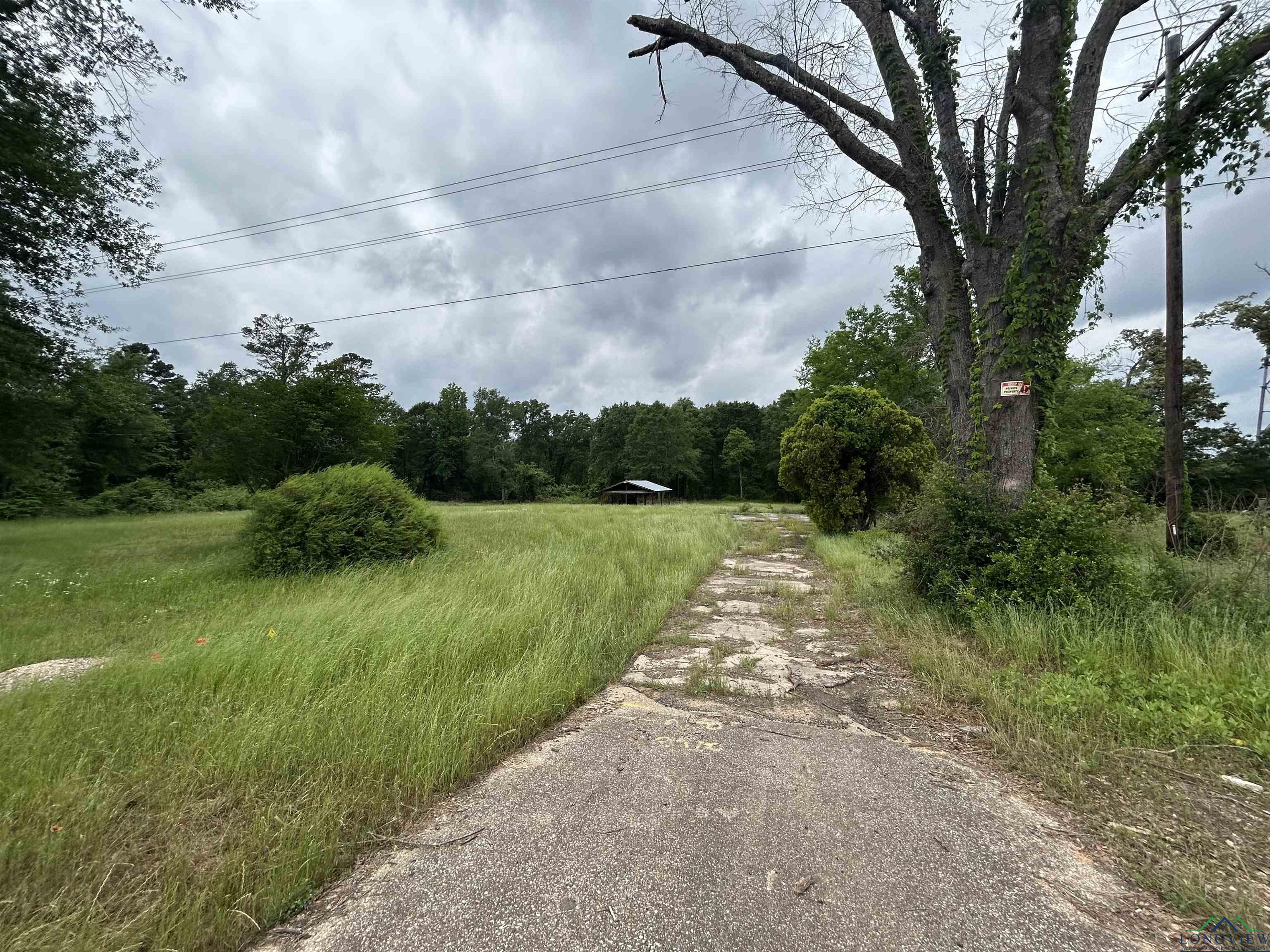 9649 N Us 259, Gilmer, Texas image 9