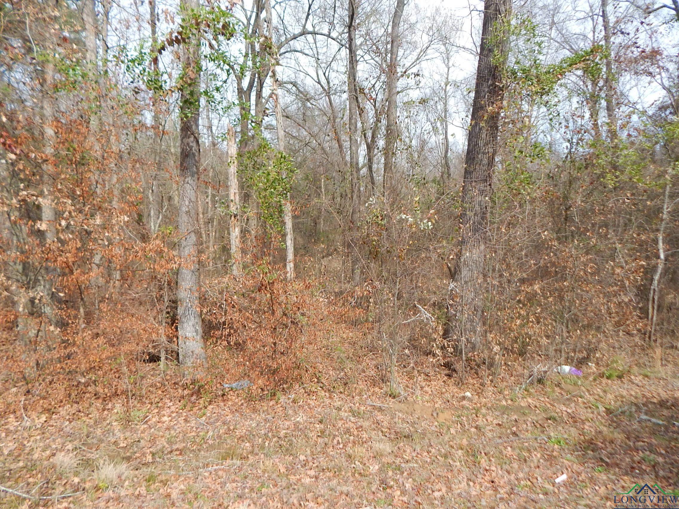 TBD 11.72 Acres George Richey, White Oak, Texas image 2