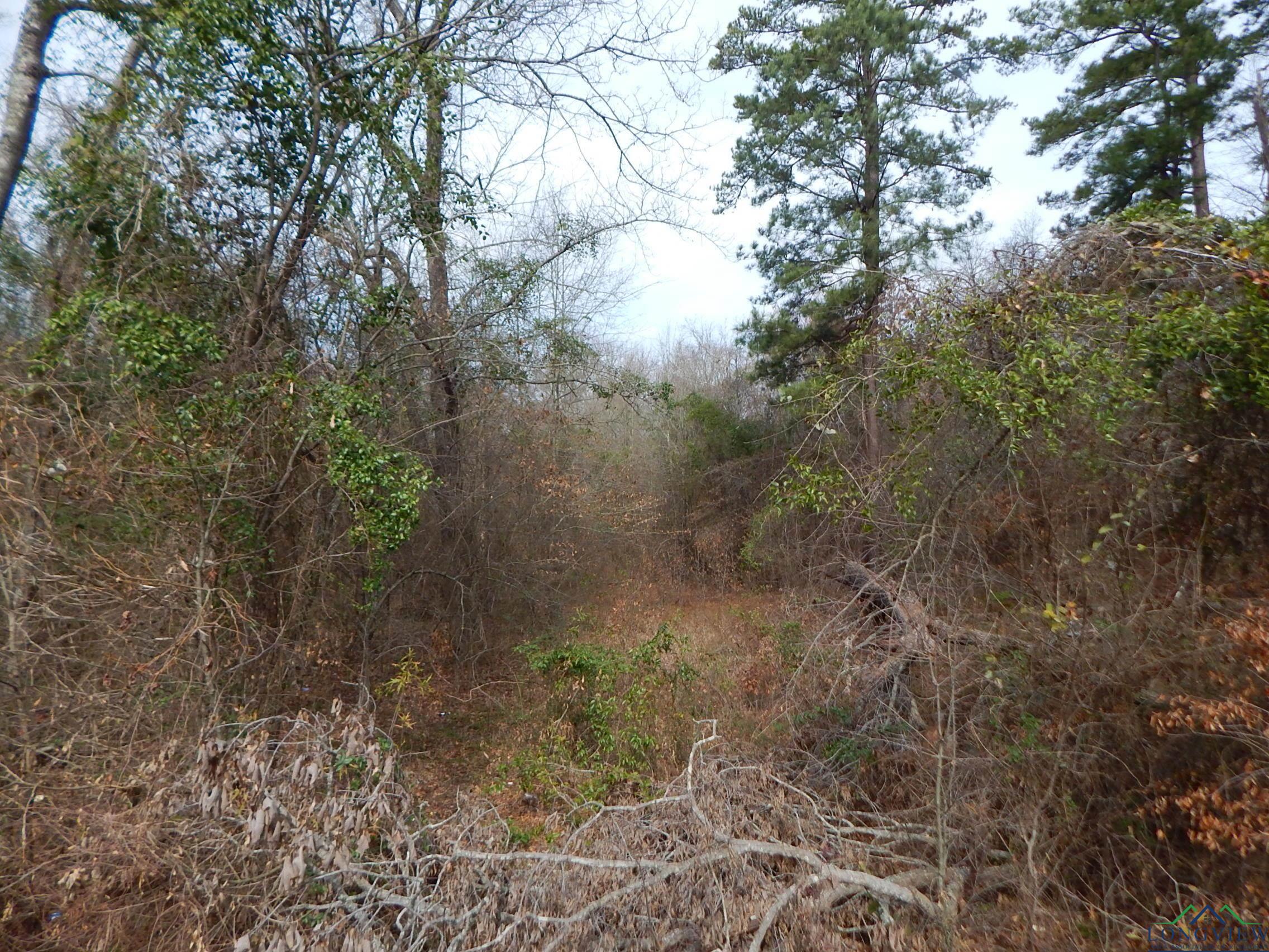 TBD 11.72 Acres George Richey, White Oak, Texas image 11