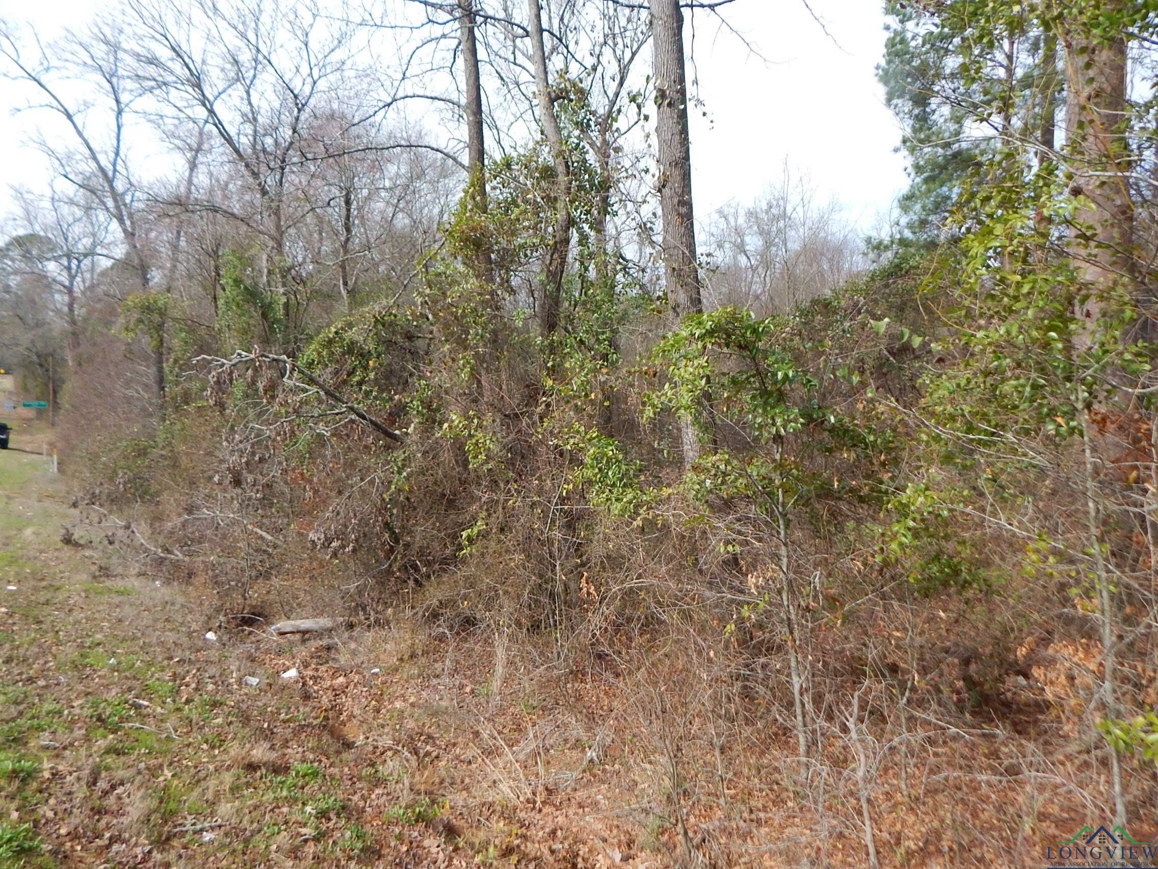 TBD 11.72 Acres George Richey, White Oak, Texas image 14