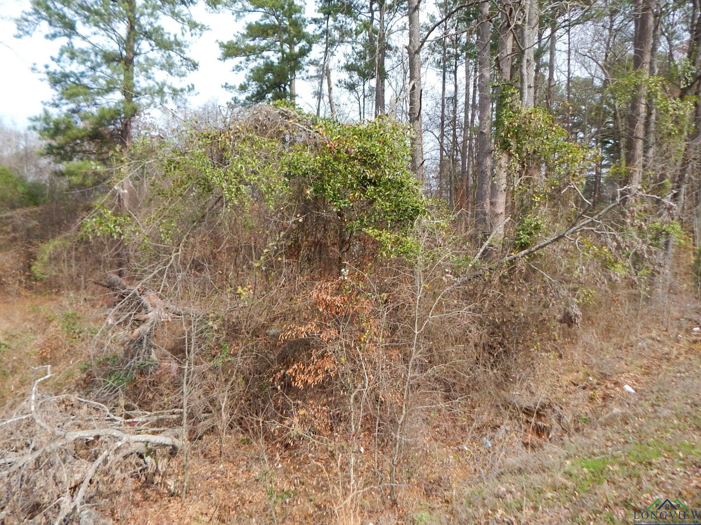 TBD 11.72 Acres George Richey, White Oak, Texas image 17