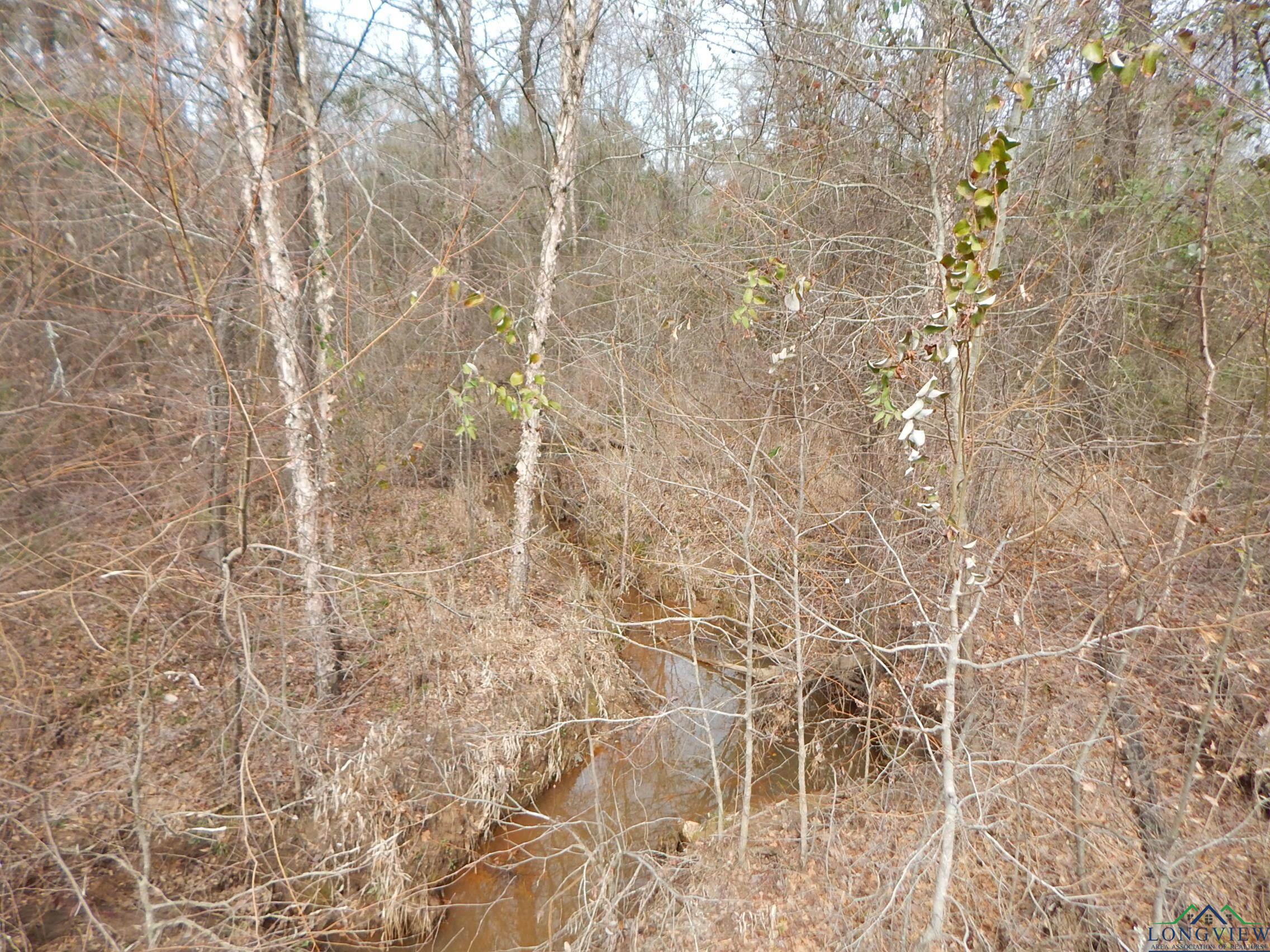 TBD 11.72 Acres George Richey, White Oak, Texas image 7