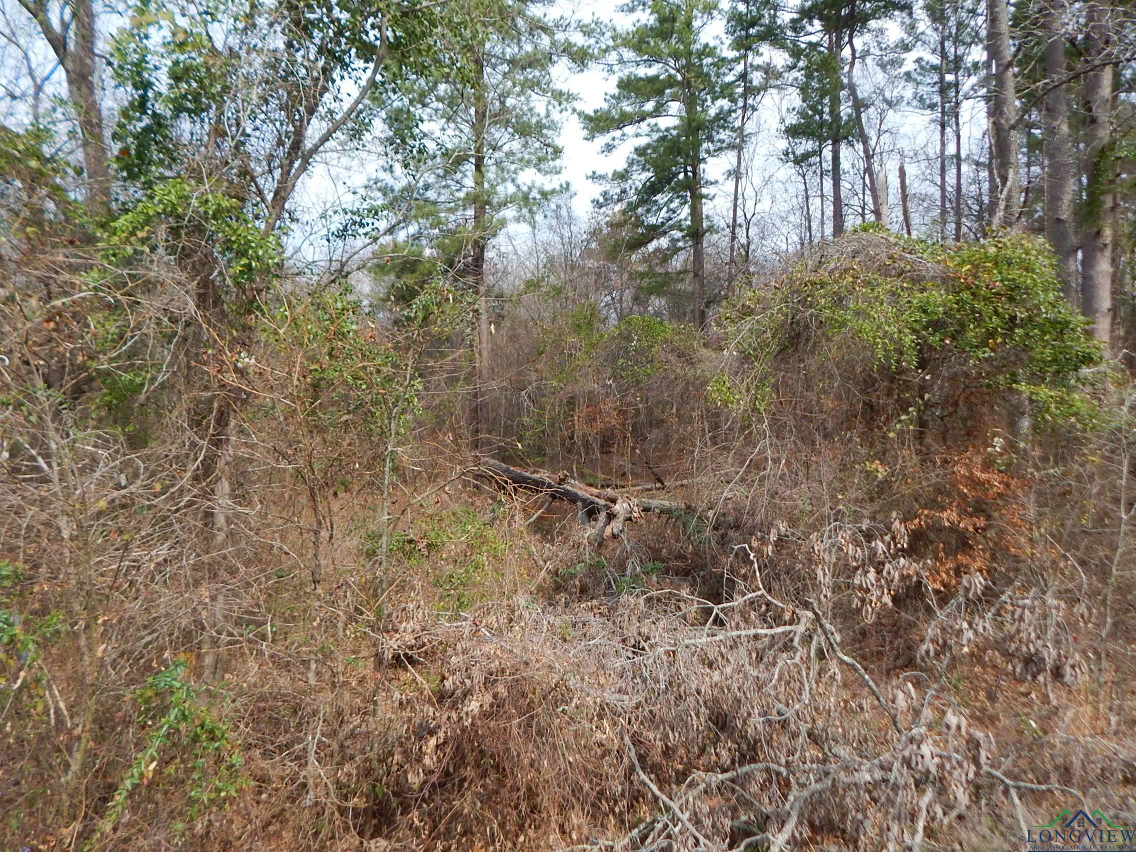 TBD 11.72 Acres George Richey, White Oak, Texas image 15