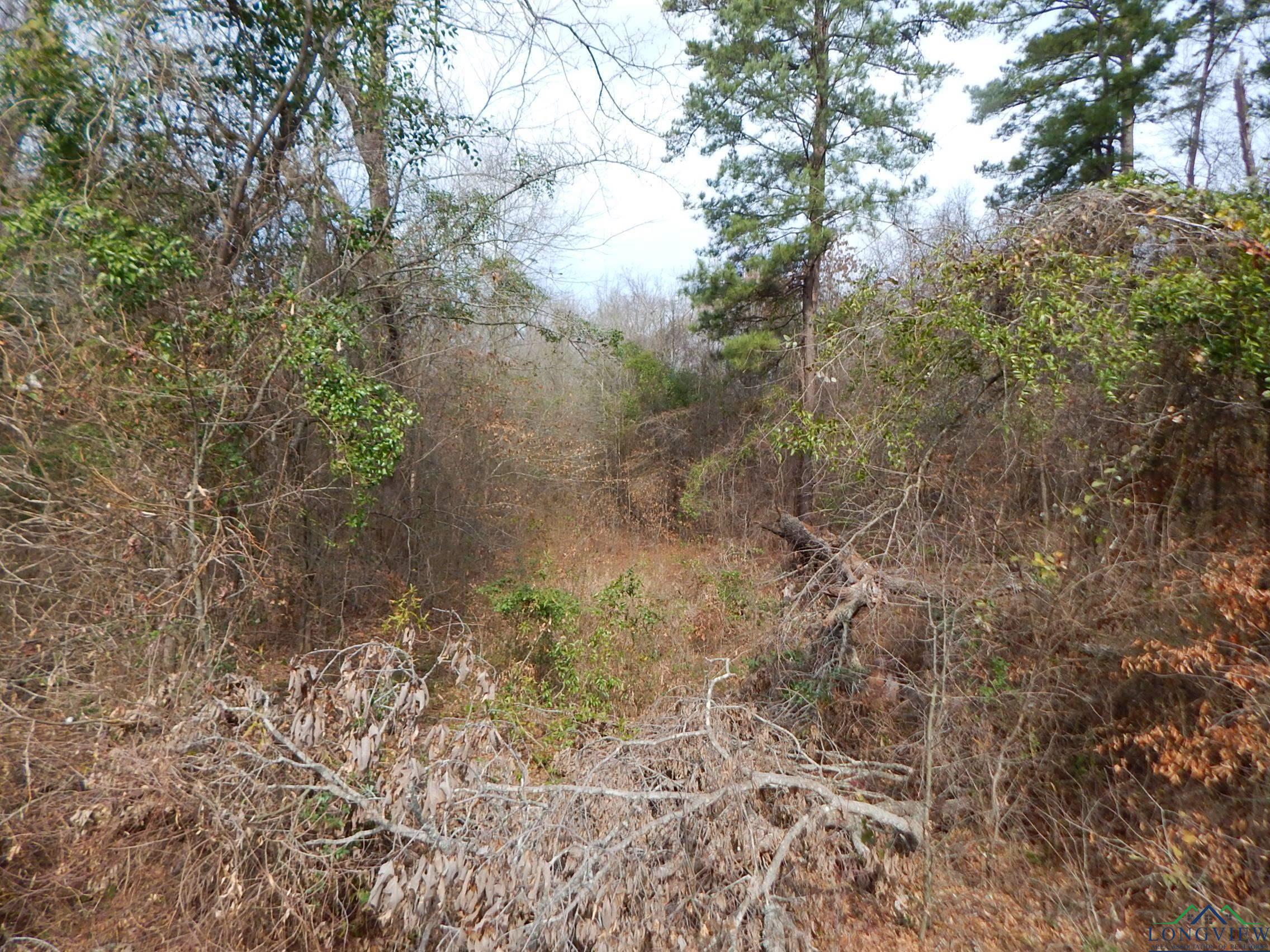 TBD 11.72 Acres George Richey, White Oak, Texas image 16