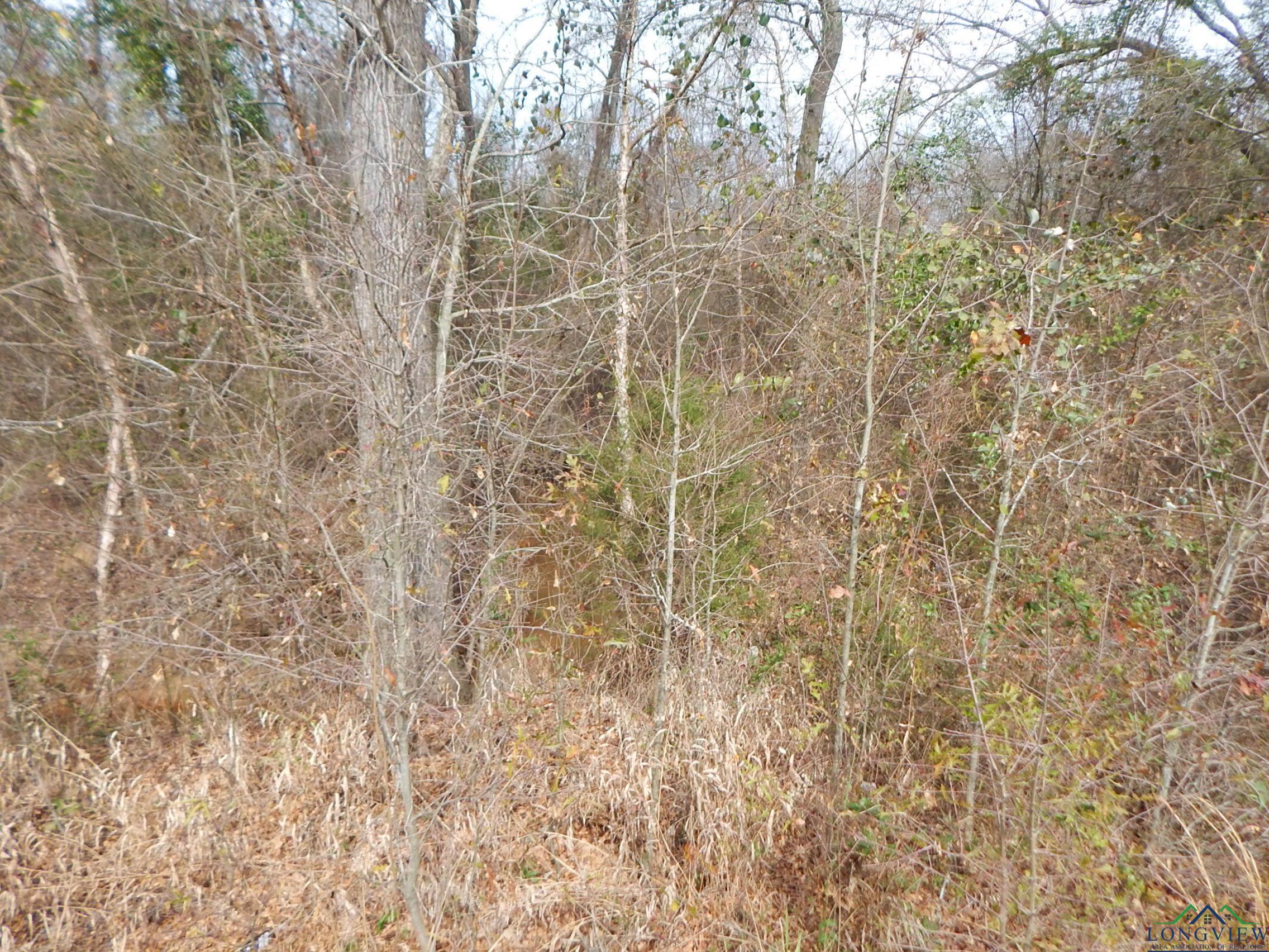 TBD 11.72 Acres George Richey, White Oak, Texas image 9