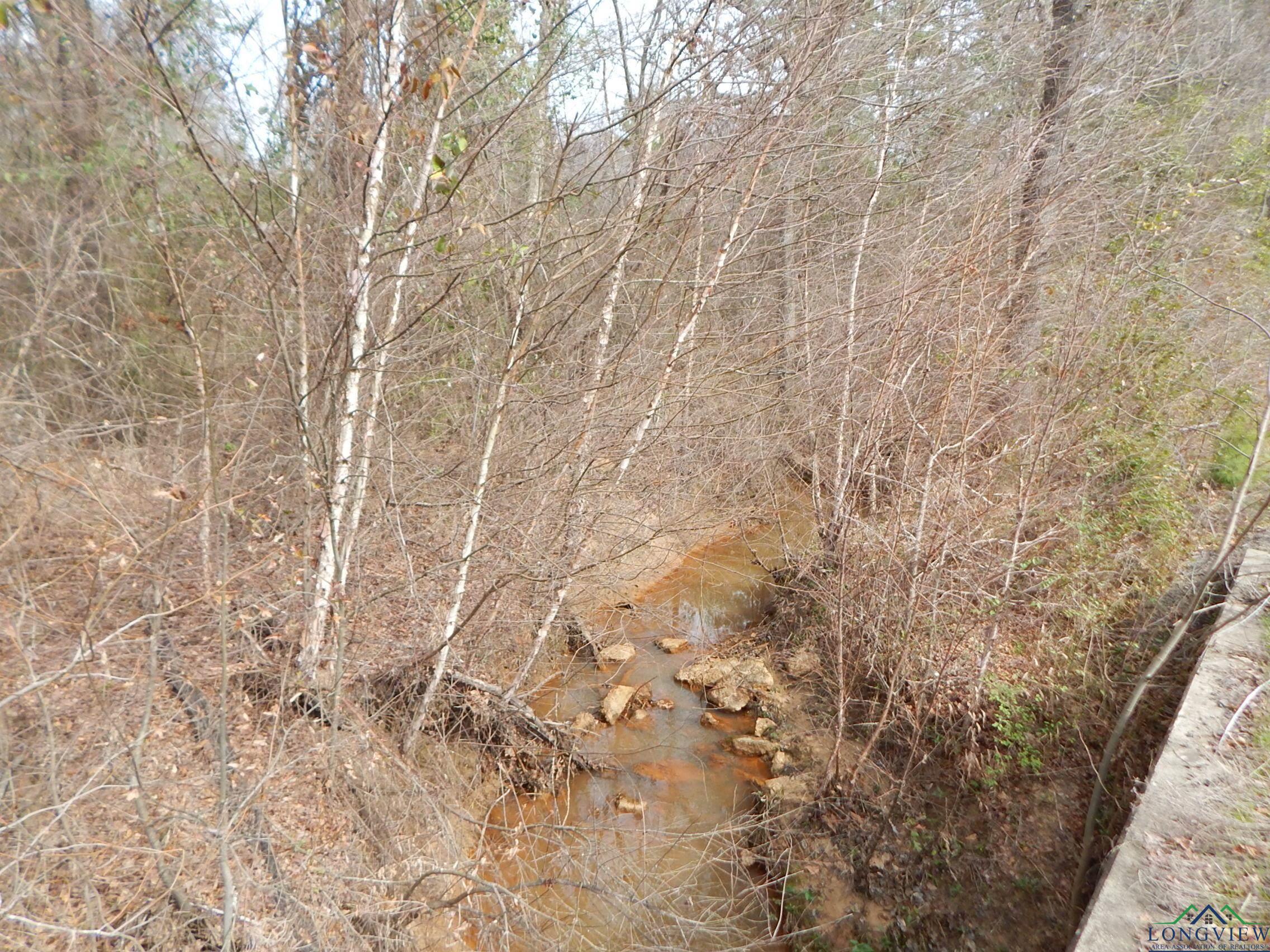 TBD 11.72 Acres George Richey, White Oak, Texas image 6