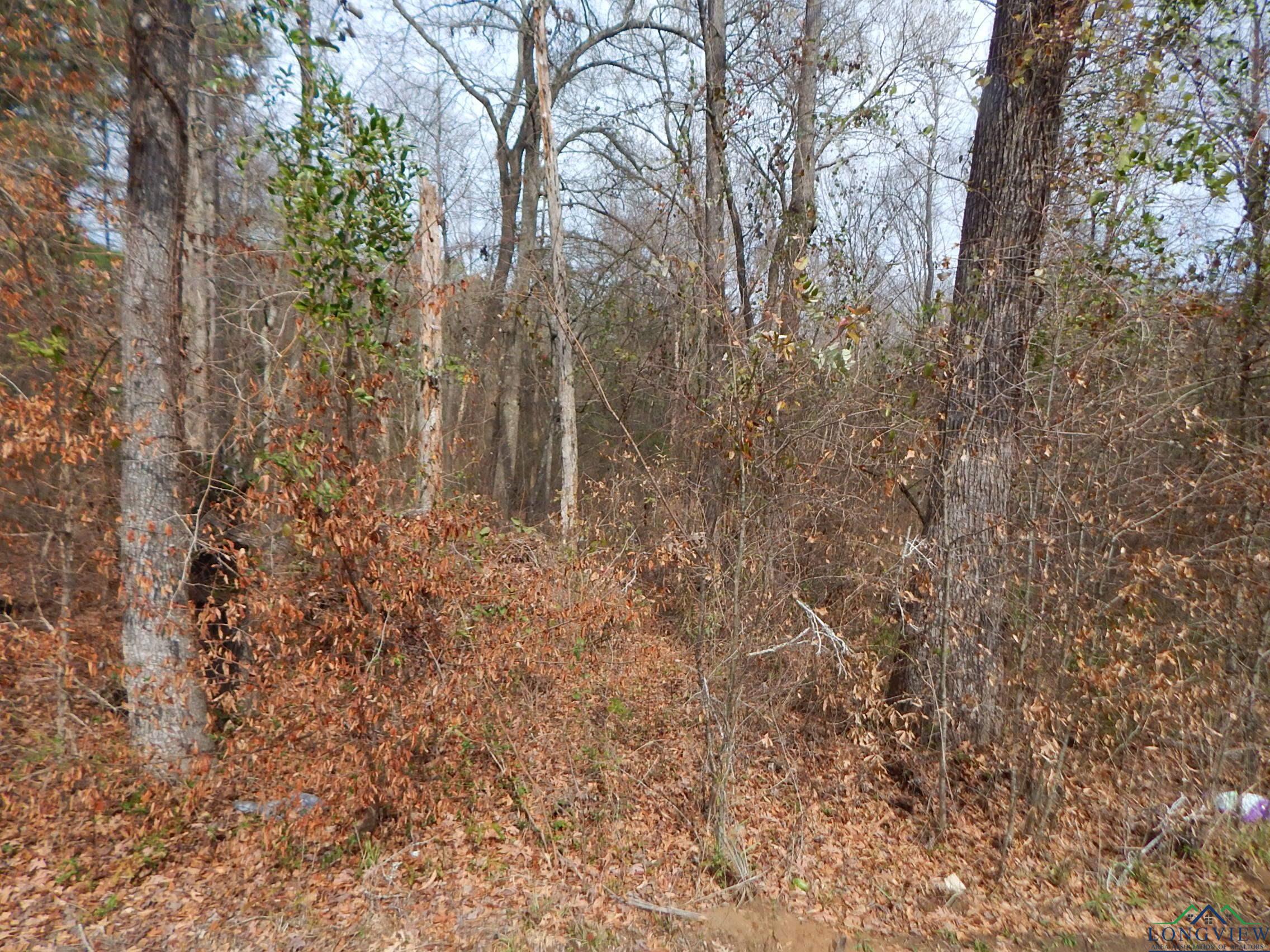 TBD 11.72 Acres George Richey, White Oak, Texas image 4