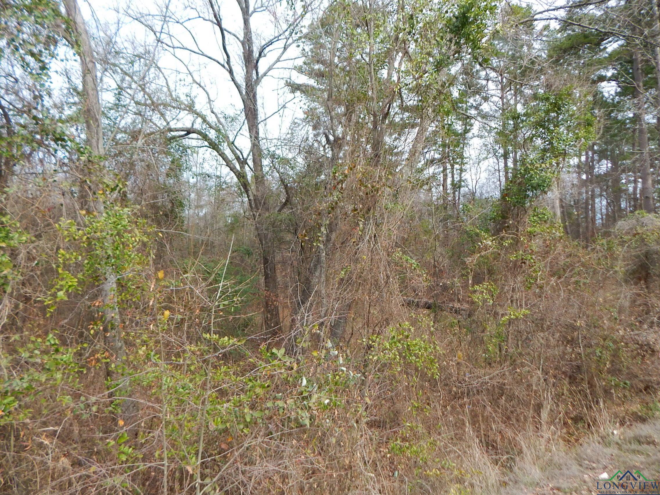 TBD 11.72 Acres George Richey, White Oak, Texas image 10