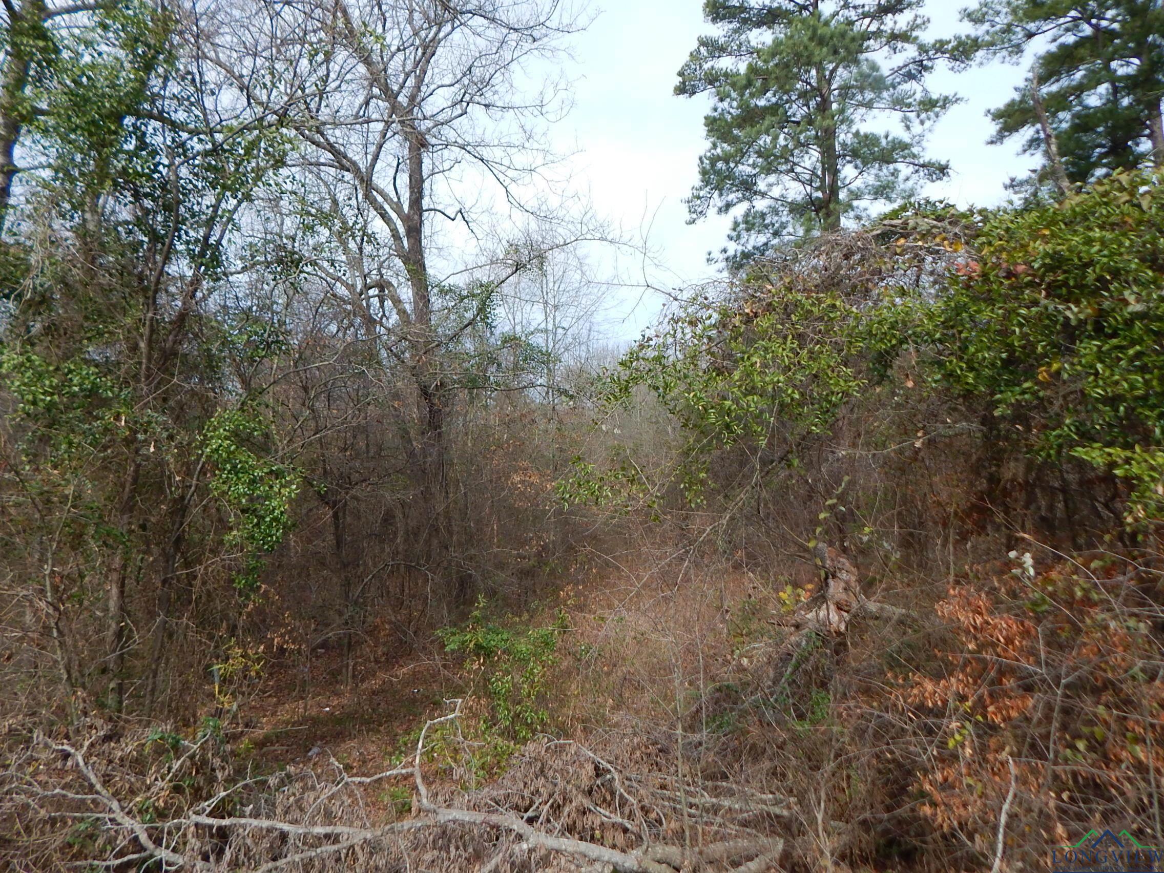 TBD 11.72 Acres George Richey, White Oak, Texas image 12