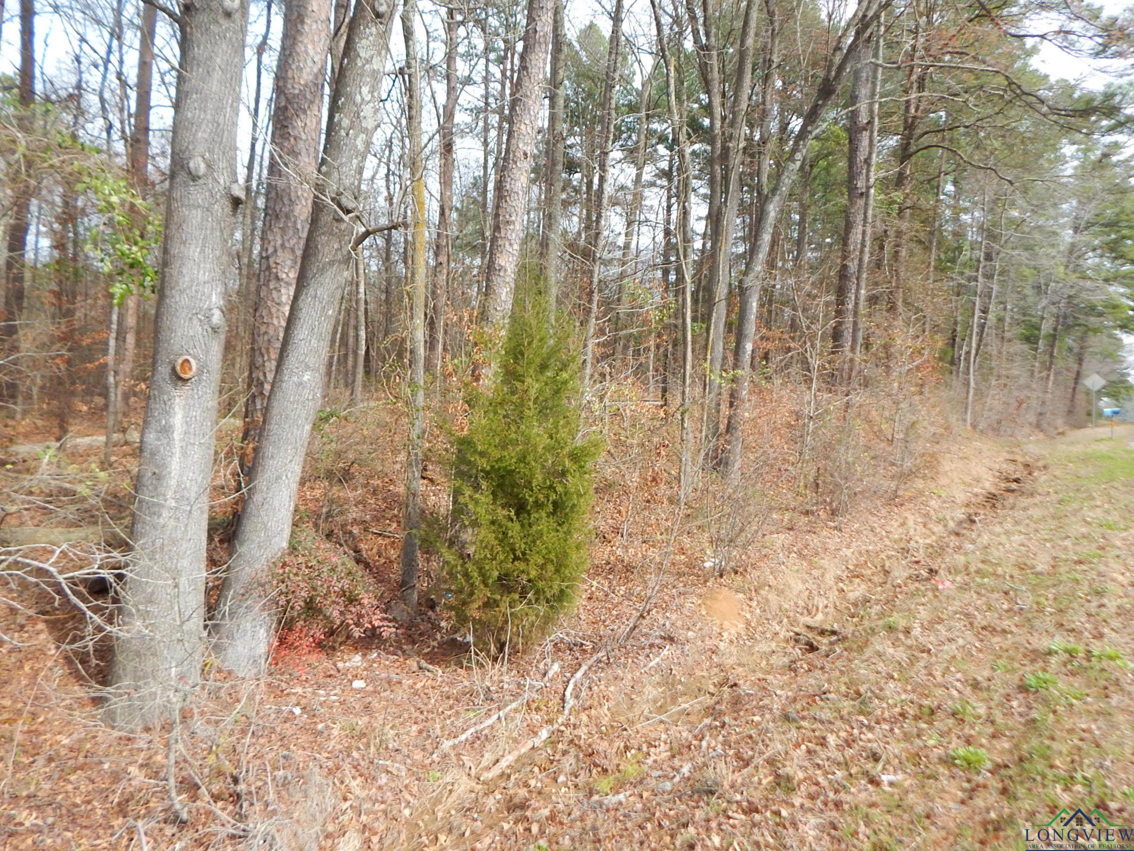 TBD 11.72 Acres George Richey, White Oak, Texas image 1